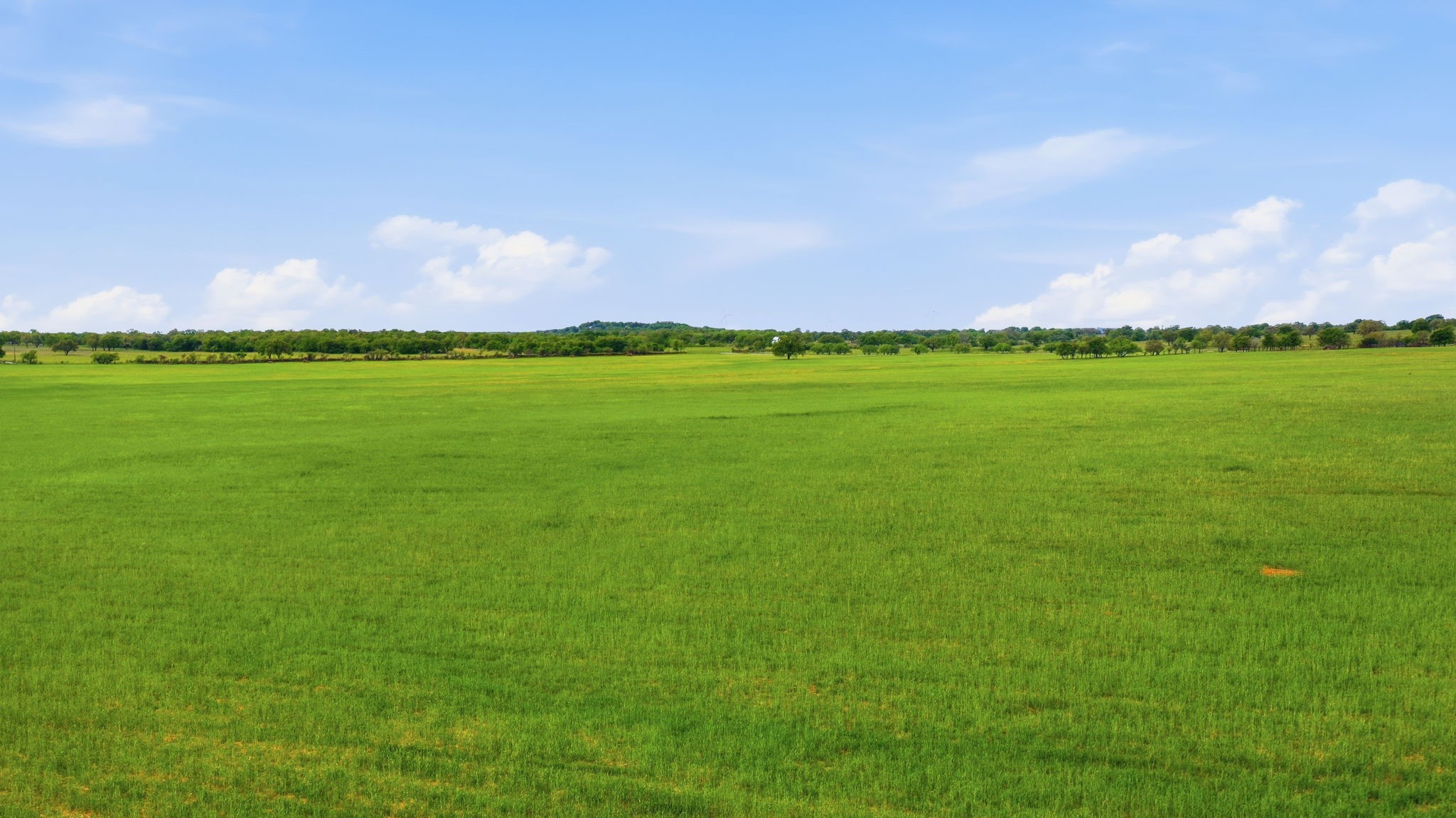 Tbd County Road 403 Cisco TX 76437