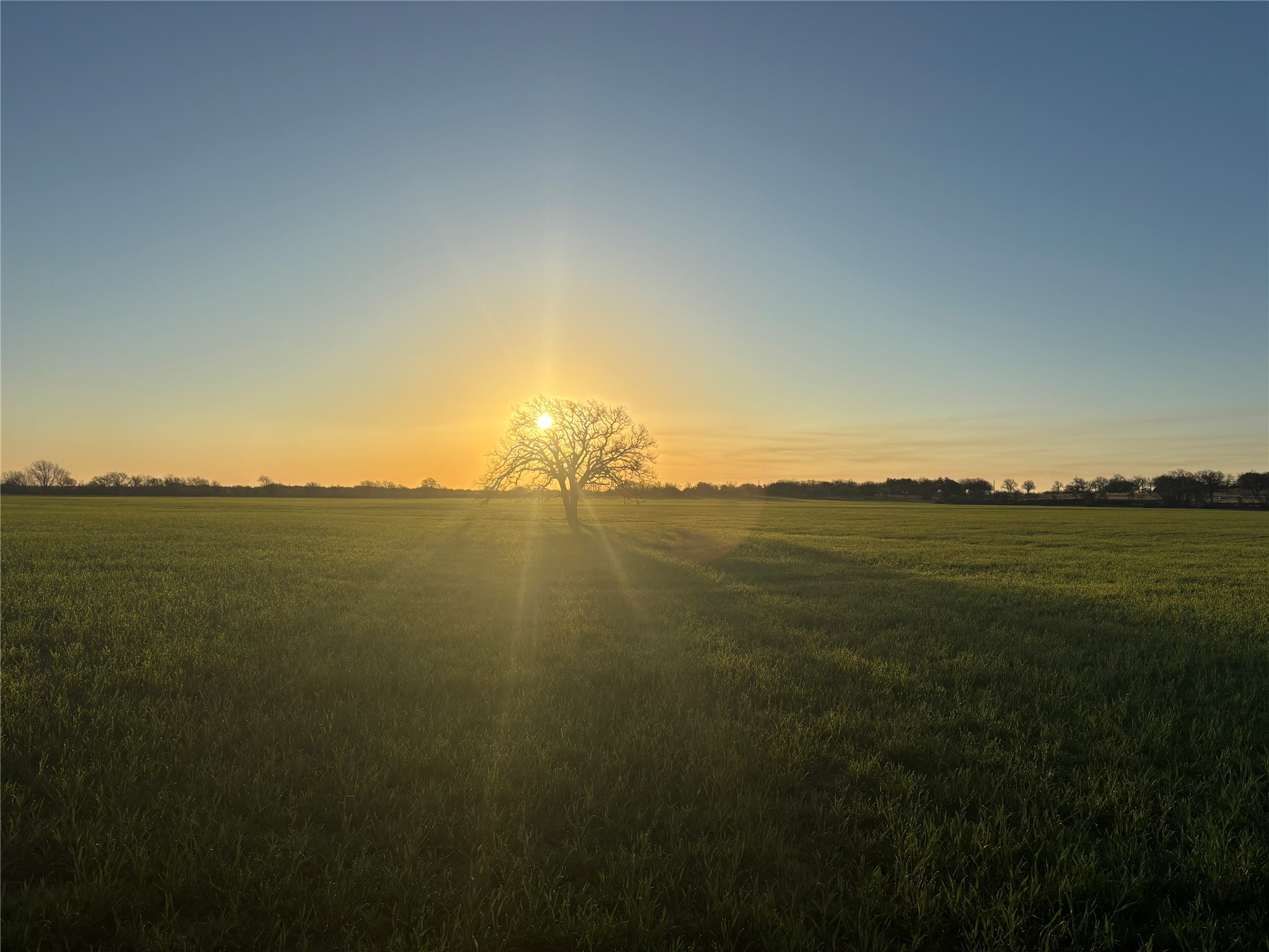 Tbd County Road 403 Cisco TX 76437