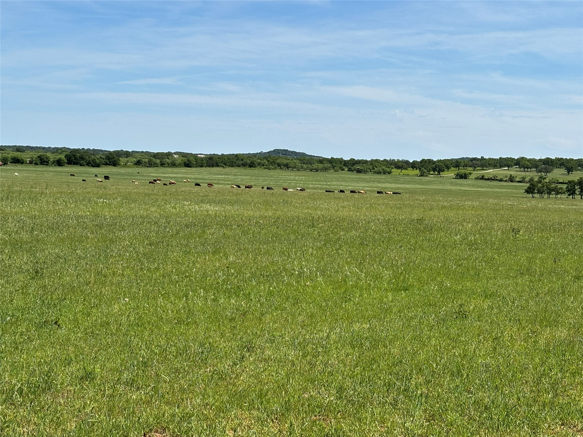 Tbd County Road 403 Cisco TX 76437