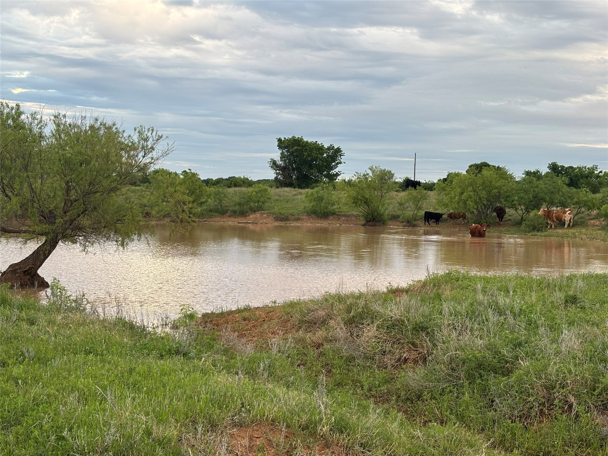 Tbd County Road 403 Cisco TX 76437