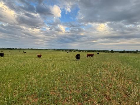Tbd County Road 403 Cisco TX 76437