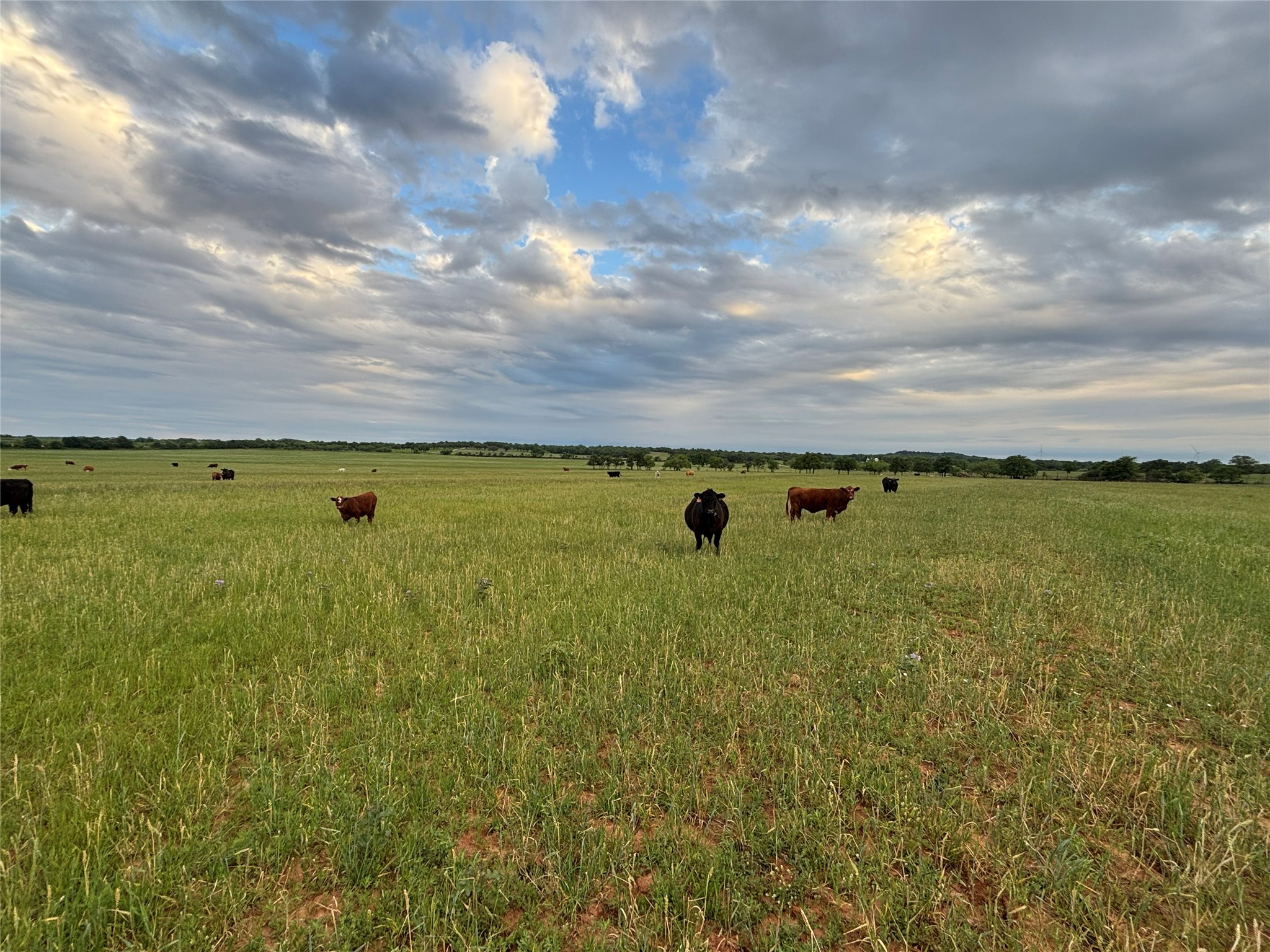 Tbd County Road 403 Cisco TX 76437