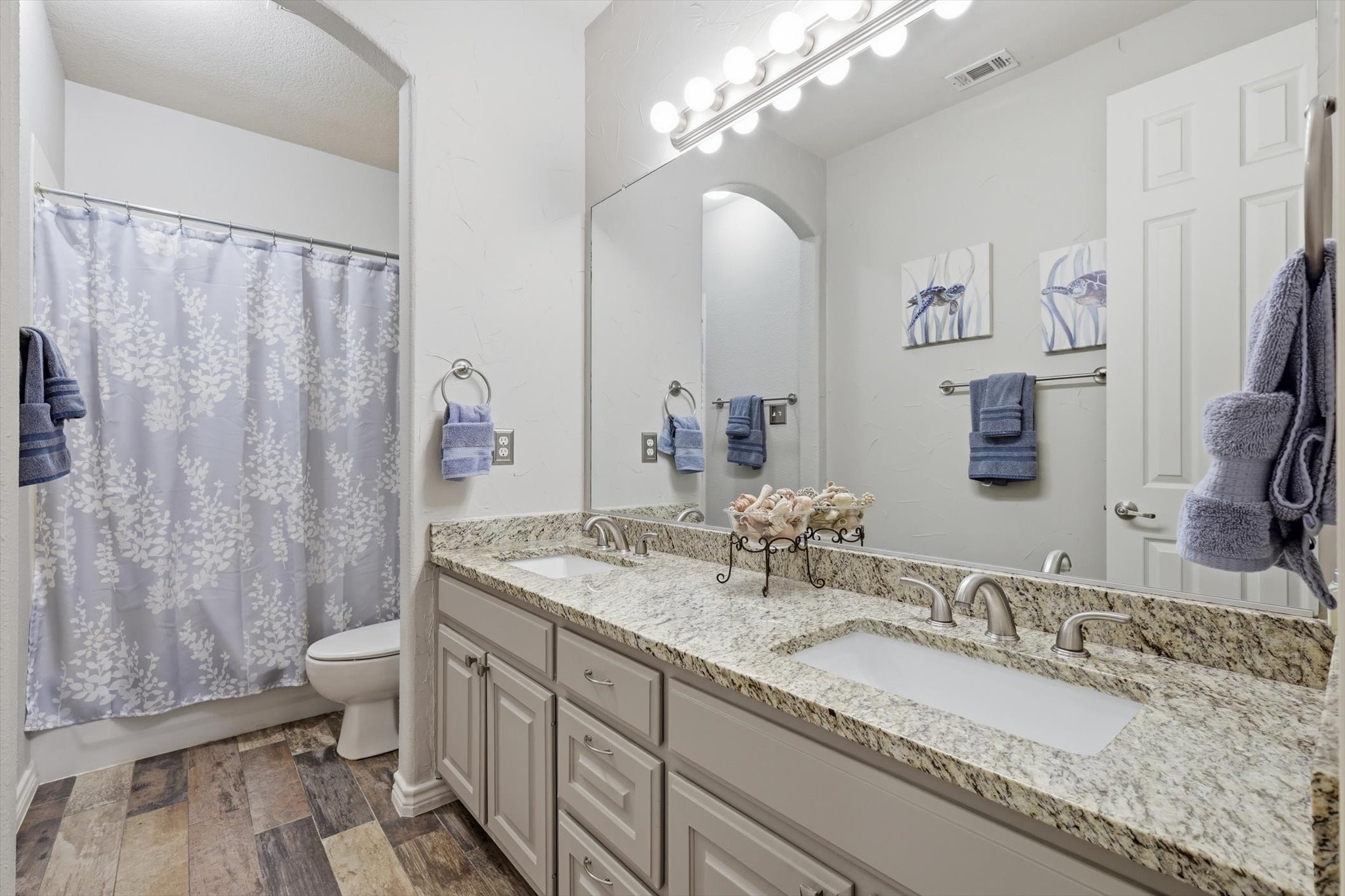 3005 Autumn Sage Trail Flower Mound TX 75022
