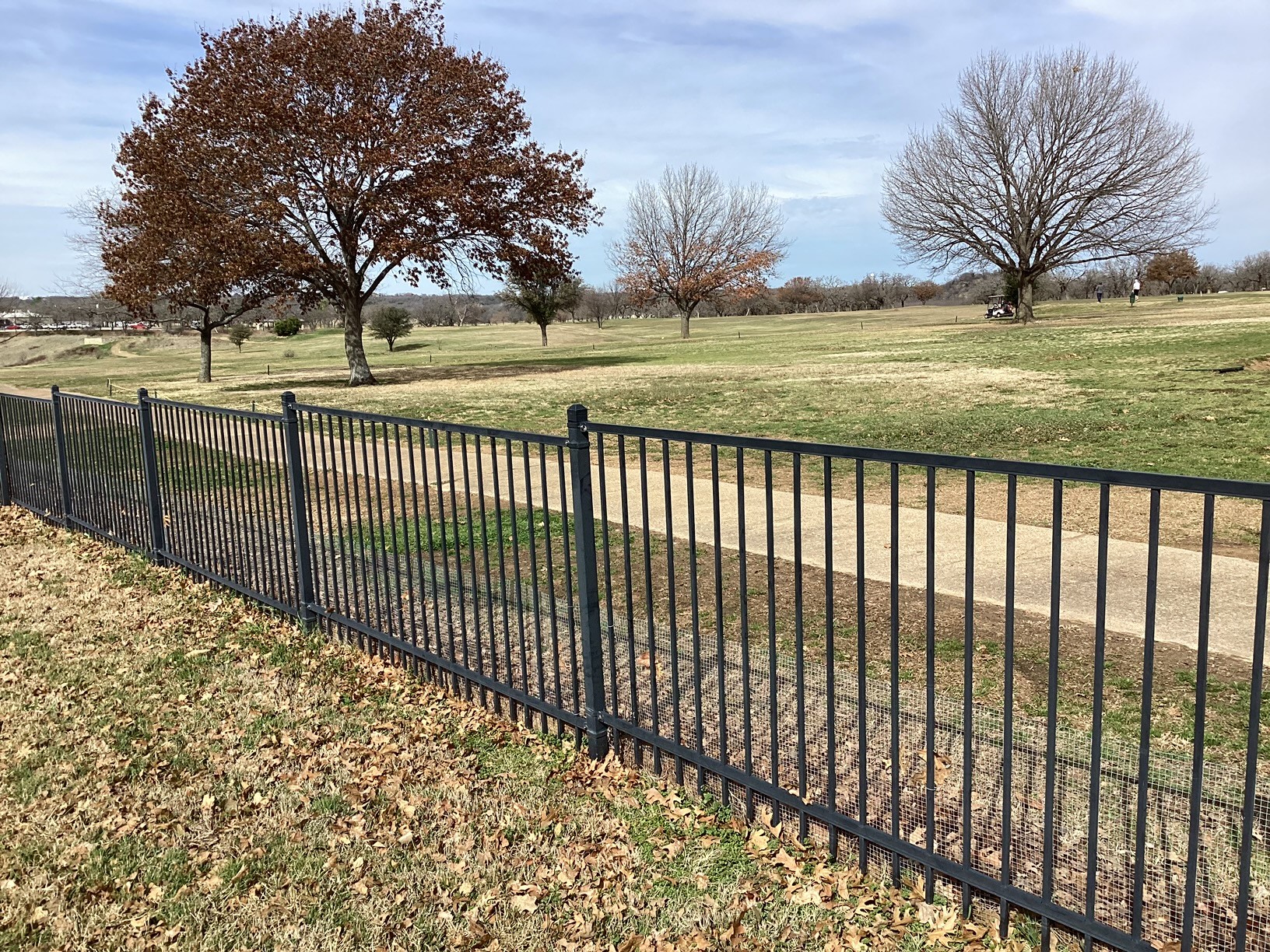 6507 Shadowview Court Mineral Wells TX 76067