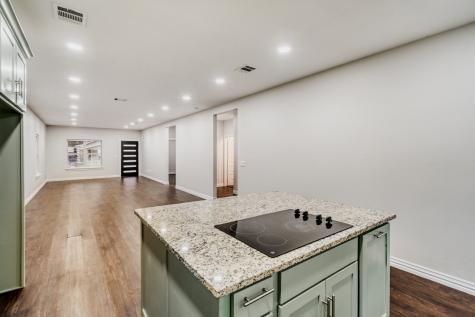 713 S Willomet Avenue Dallas TX 75208