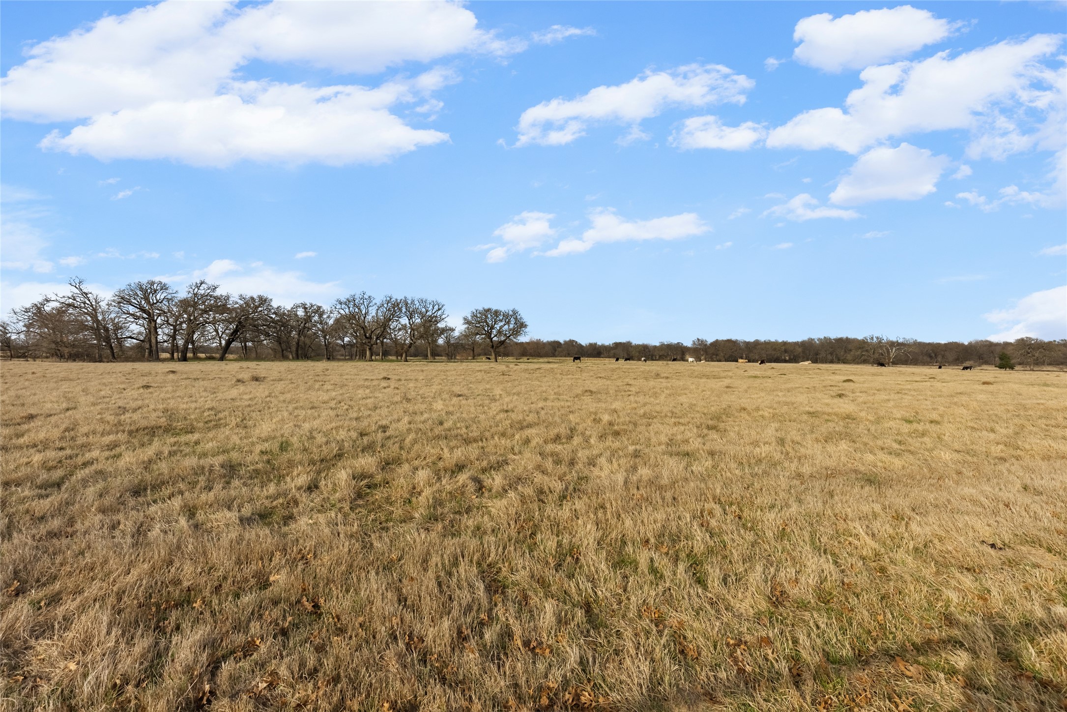 2560 County Road 4708 Sulphur Springs TX 75482