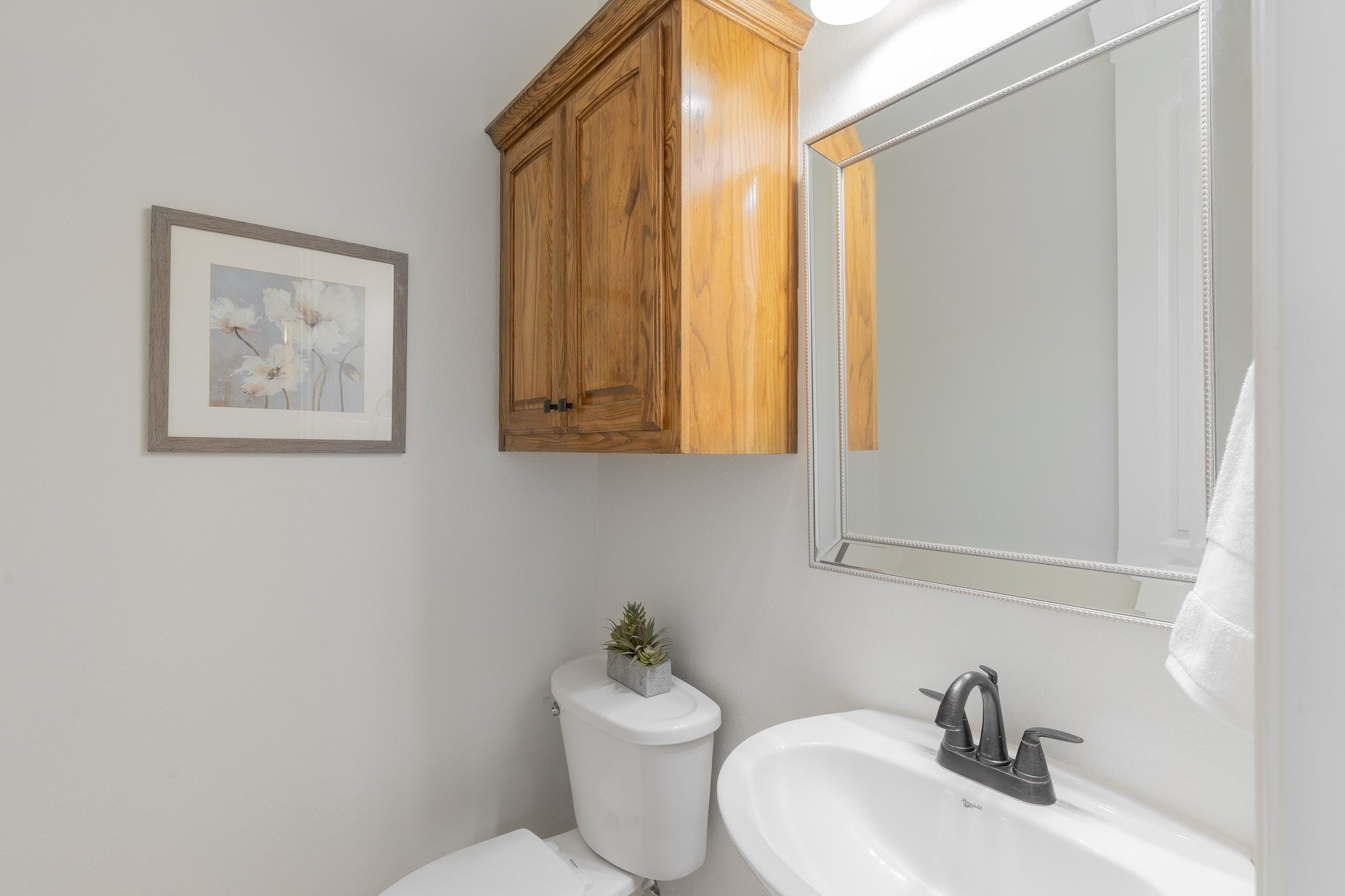 626 Oak Tree Cove Cedar Hill TX 75104