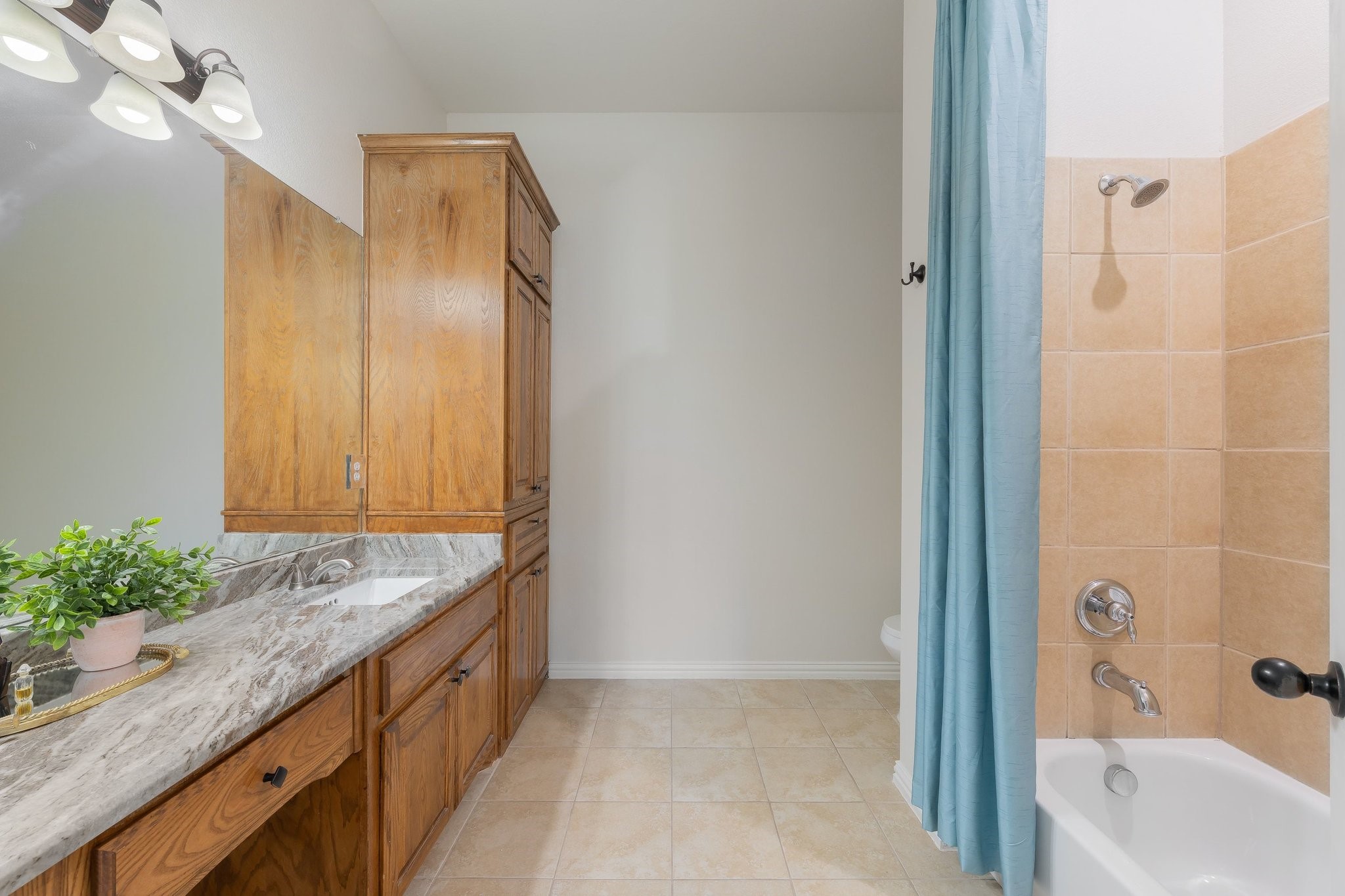 626 Oak Tree Cove Cedar Hill TX 75104