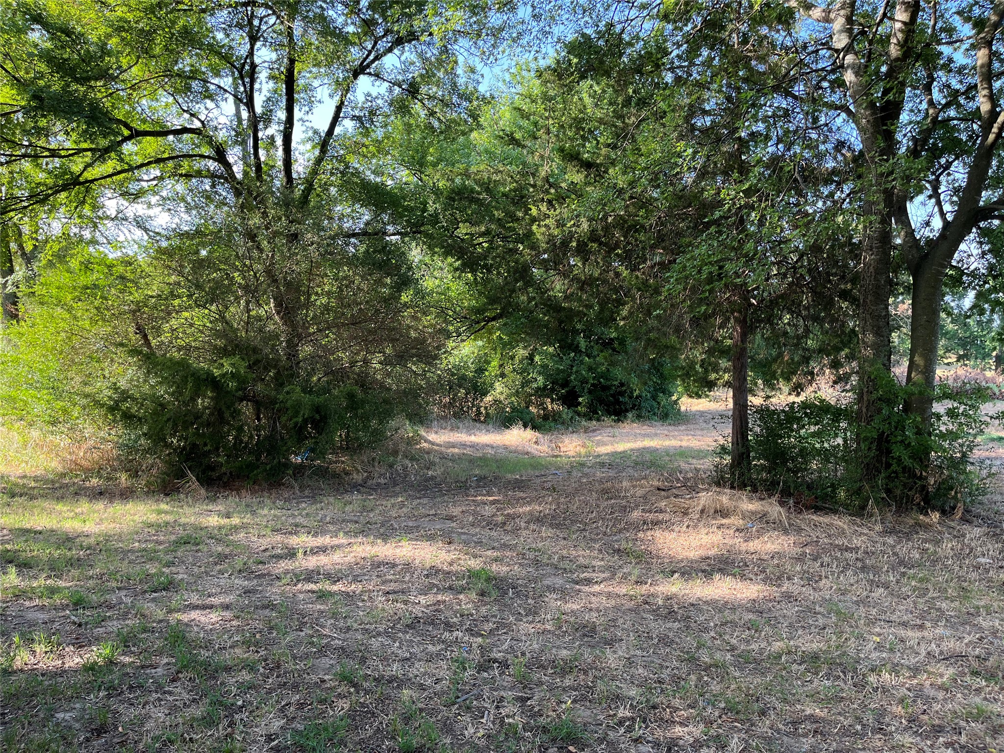 1668 E Fm 852 Winnsboro TX 75494