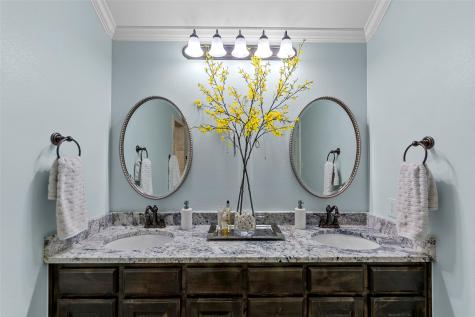 1121 Seclusion Cove Drive Mckinney TX 75072