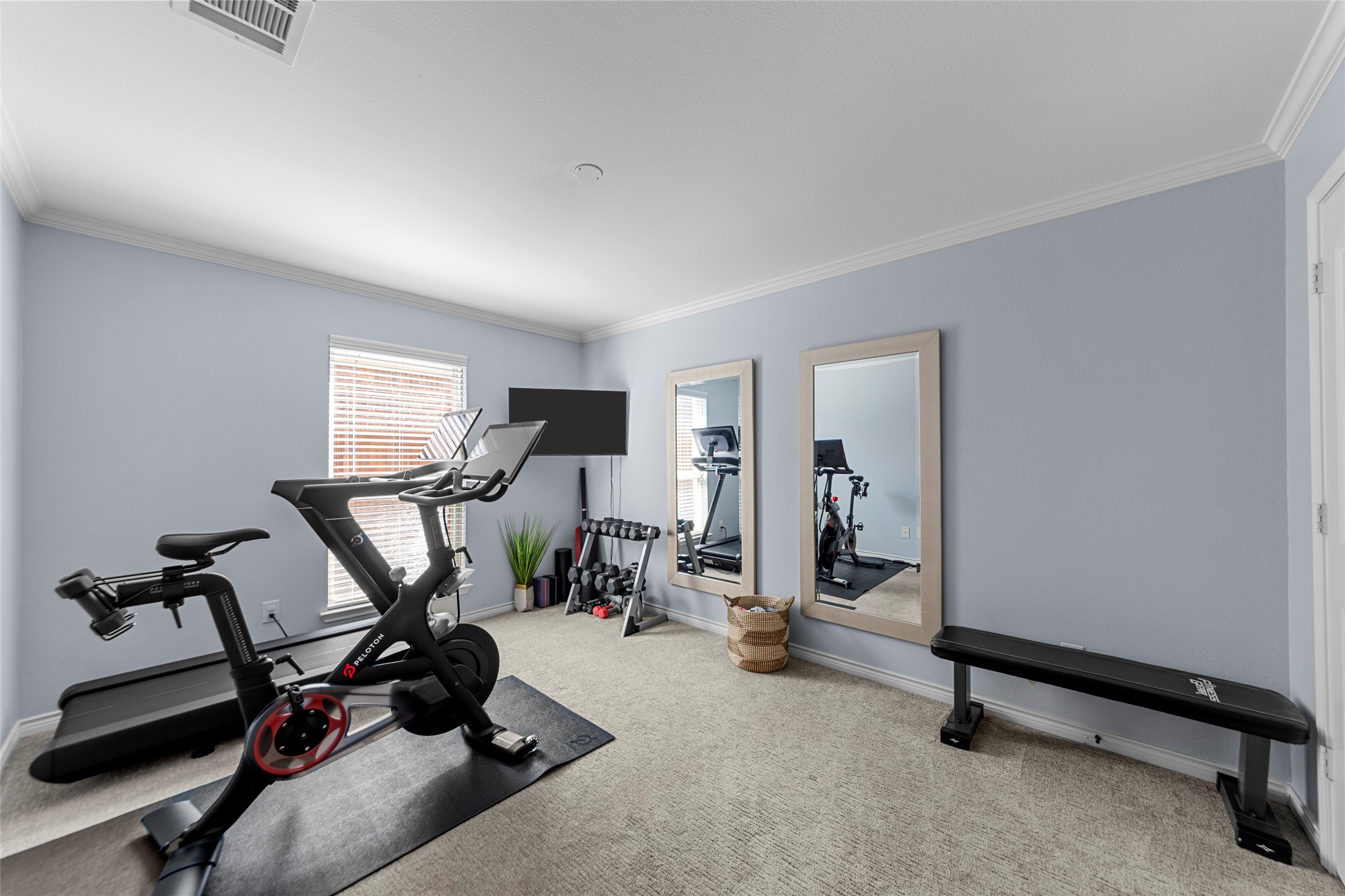 1121 Seclusion Cove Drive Mckinney TX 75072