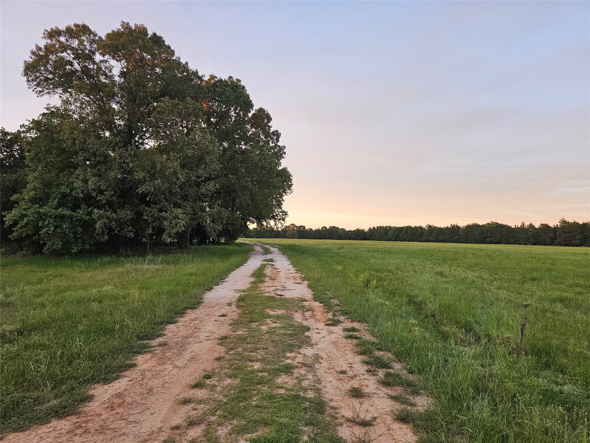 10860 Farm Road 197 Arthur City TX 75411