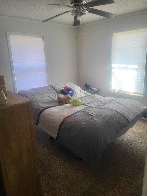 6097 Fm 2194 Farmersville TX 75442