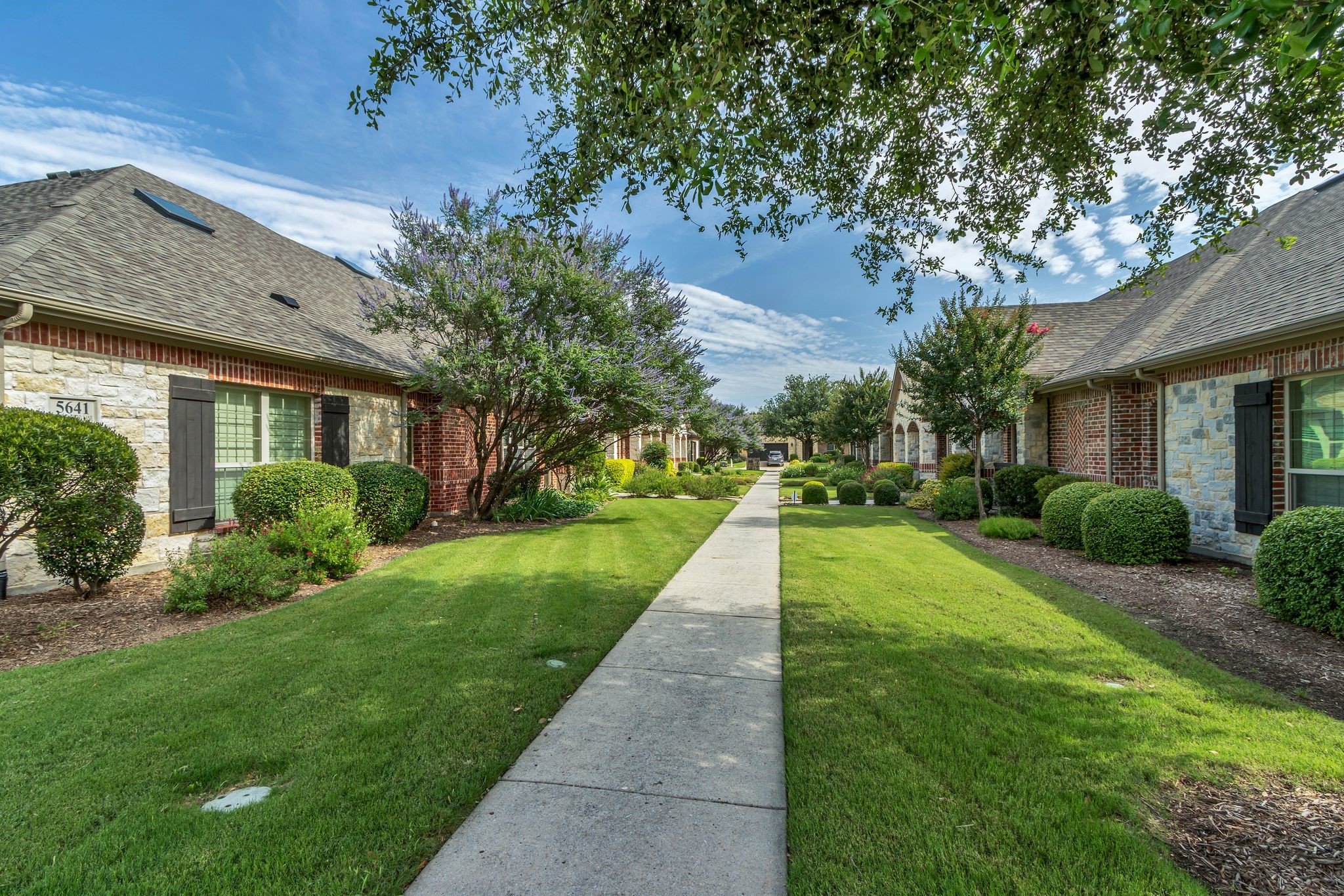 5639 Hummingbird Lane Fairview TX 75069