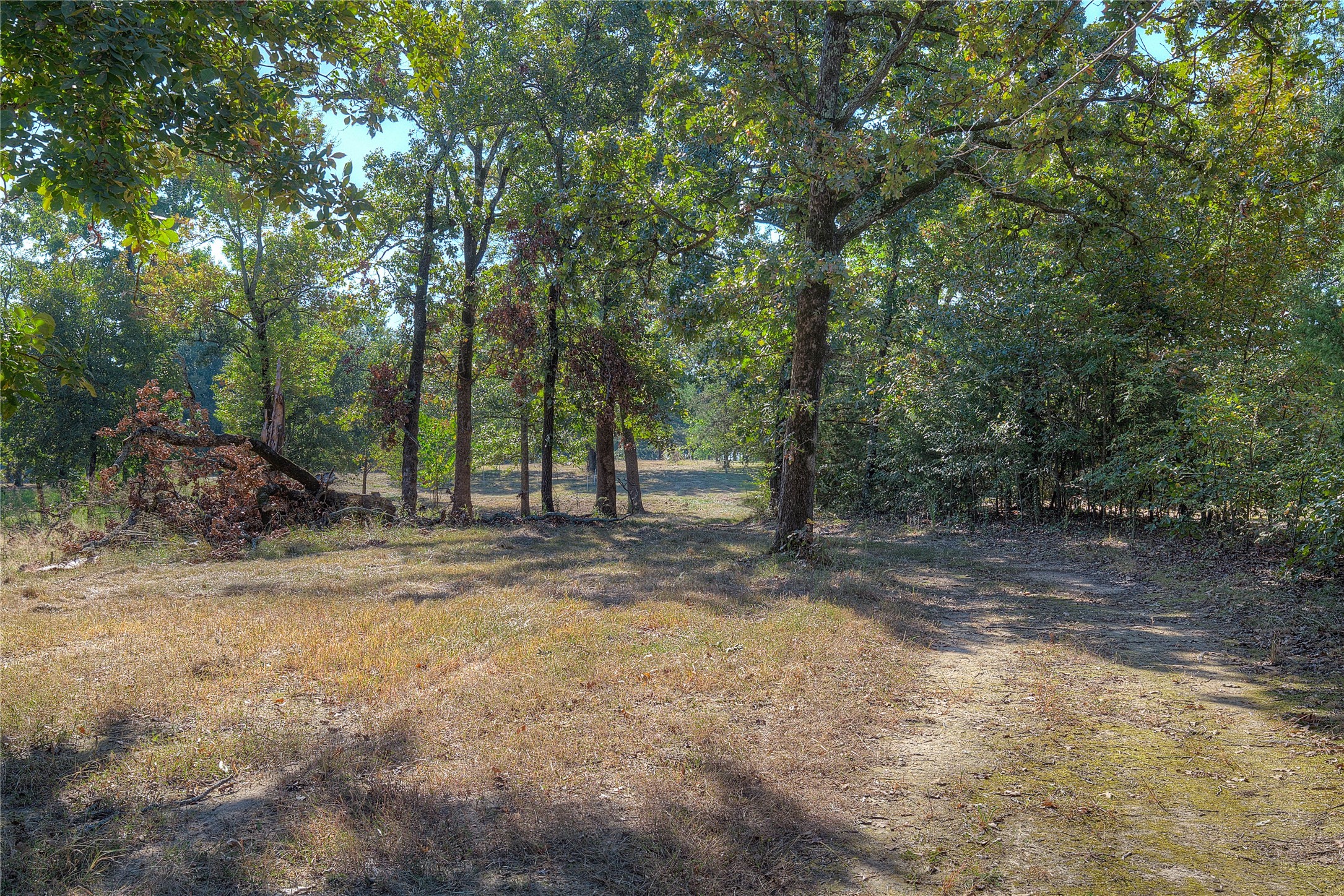 331 County Road 1887 Yantis TX 75497