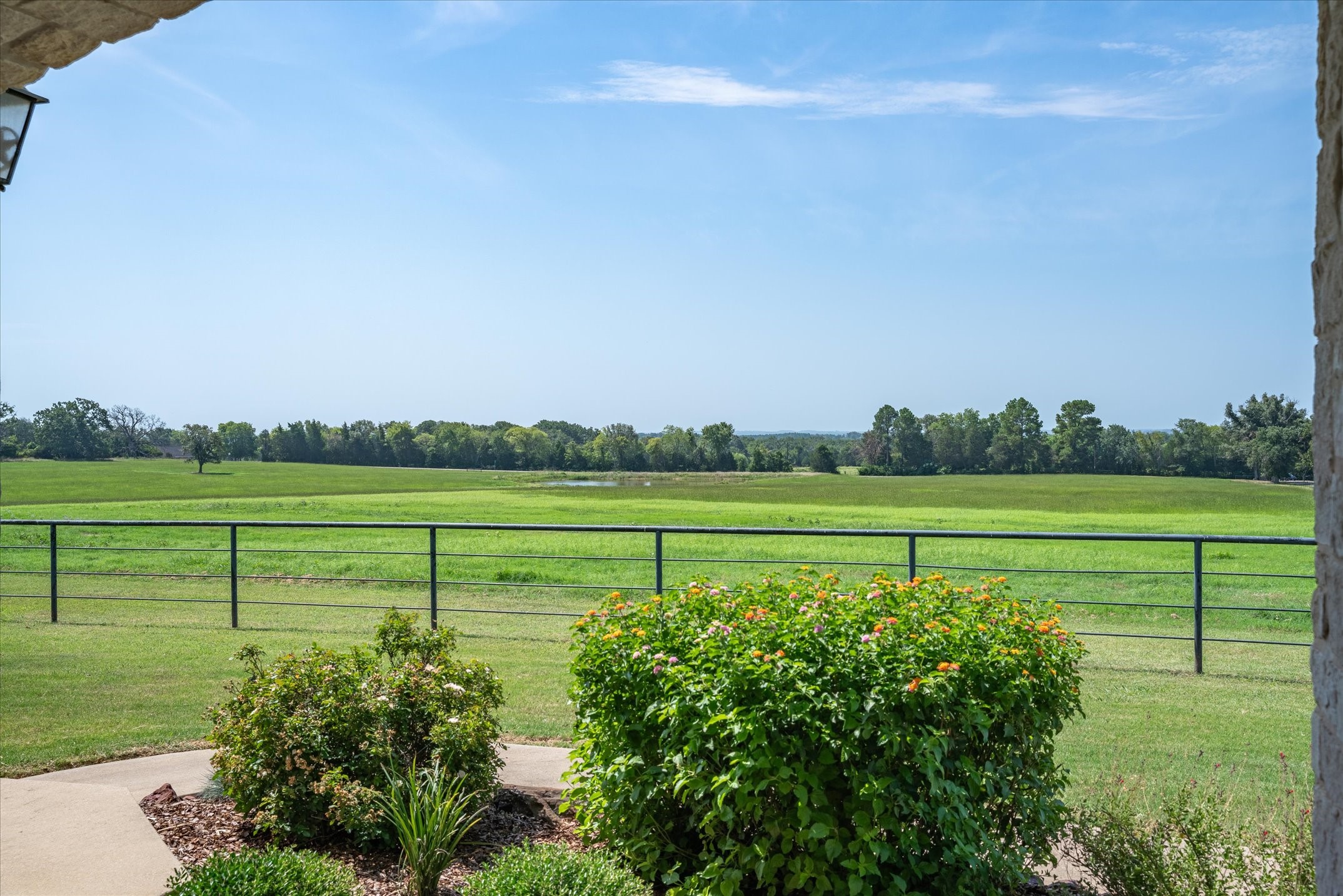 9208 Fm 17 75 Acres Grand Saline TX 75140