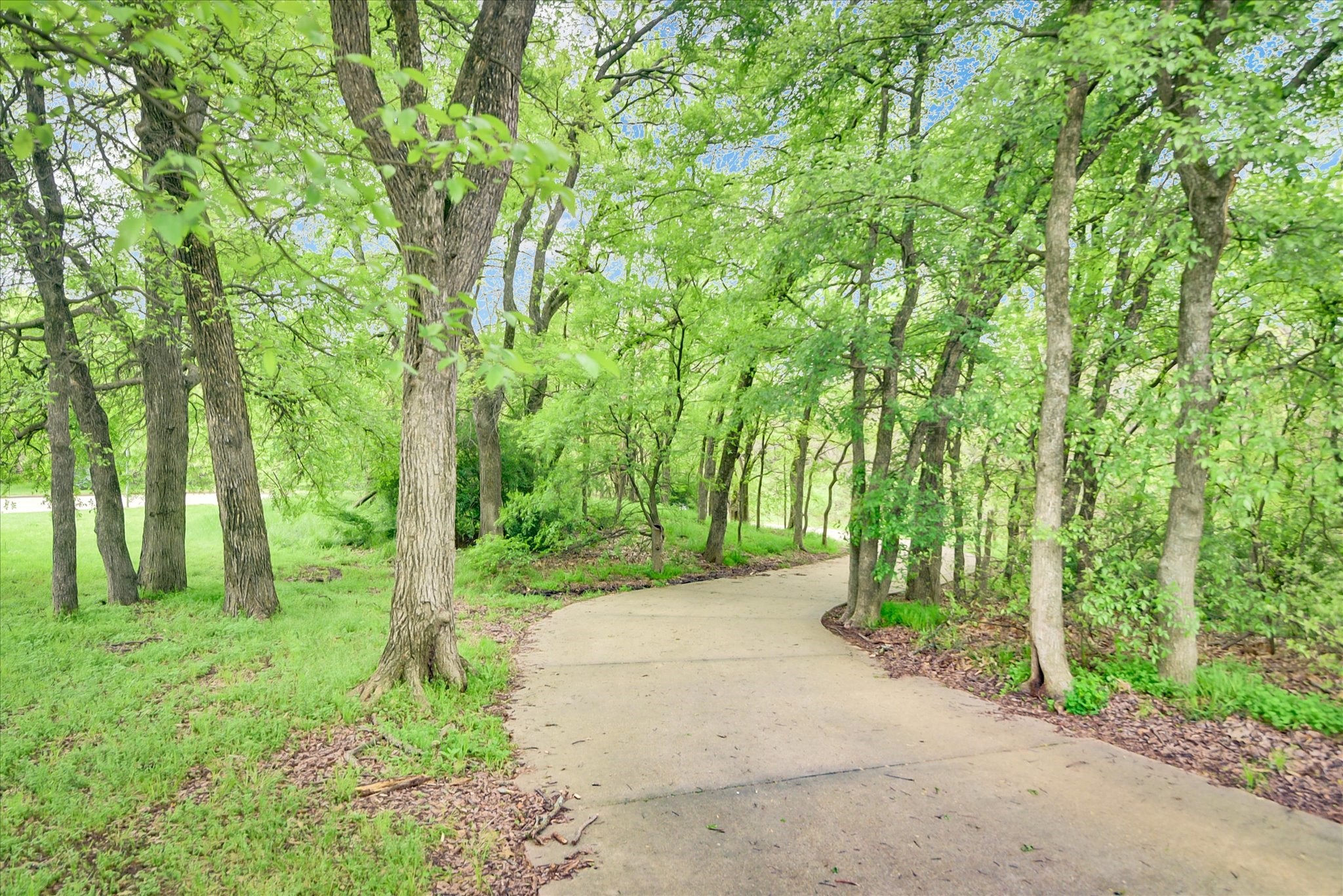 6619 Forest Park Drive Arlington TX 76001