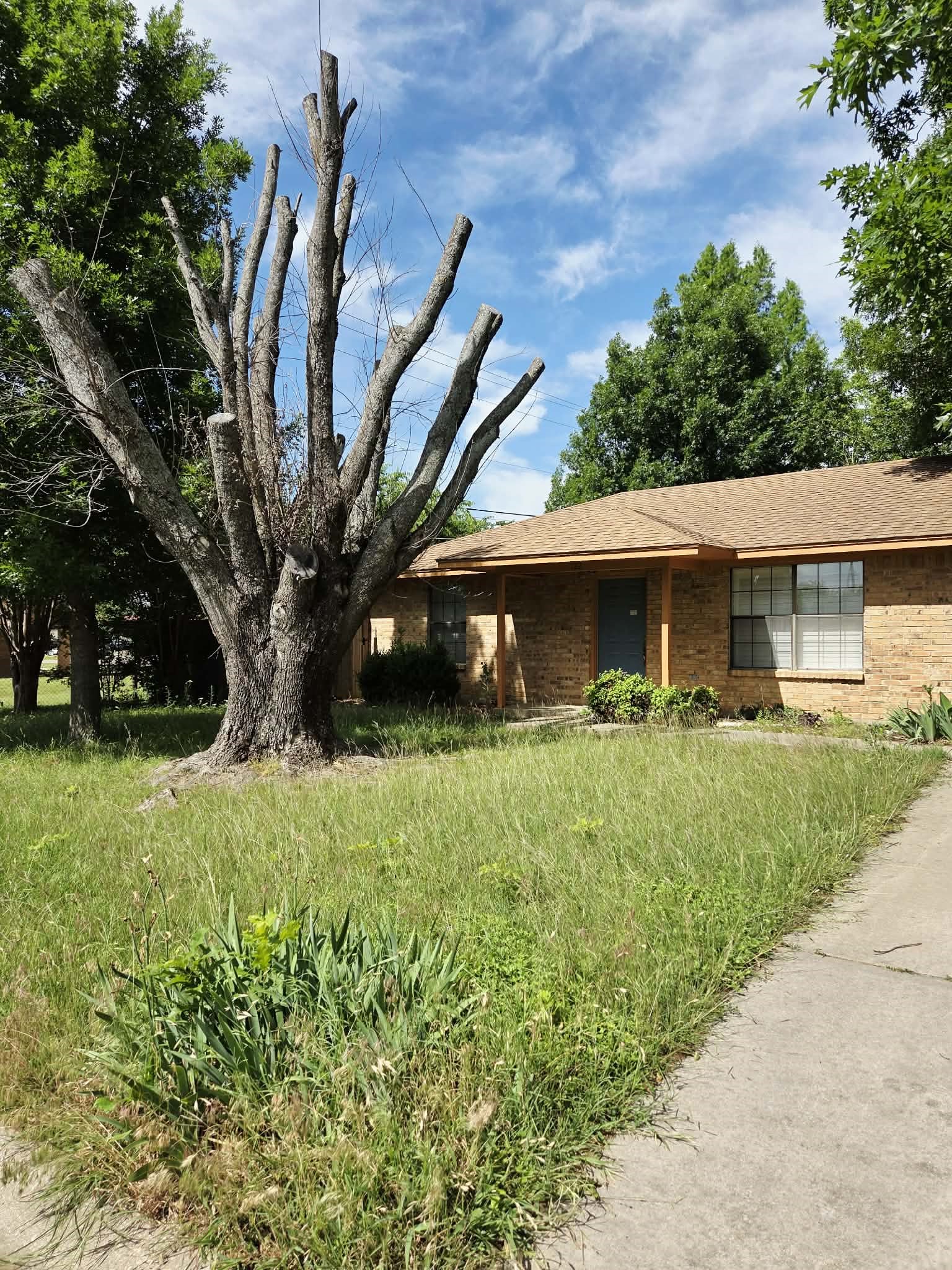 722 S Church Street Pilot Point TX 76258