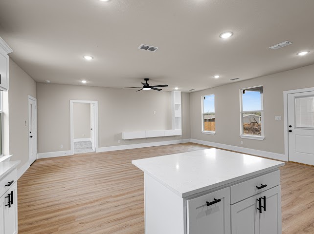 187 Cactus Canyon Drive Bridgeport TX 76426
