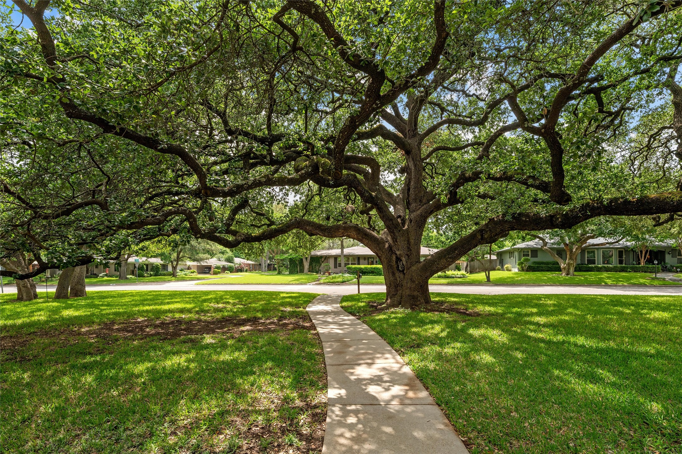 4901 Meadow Wood Drive Waco TX 76710