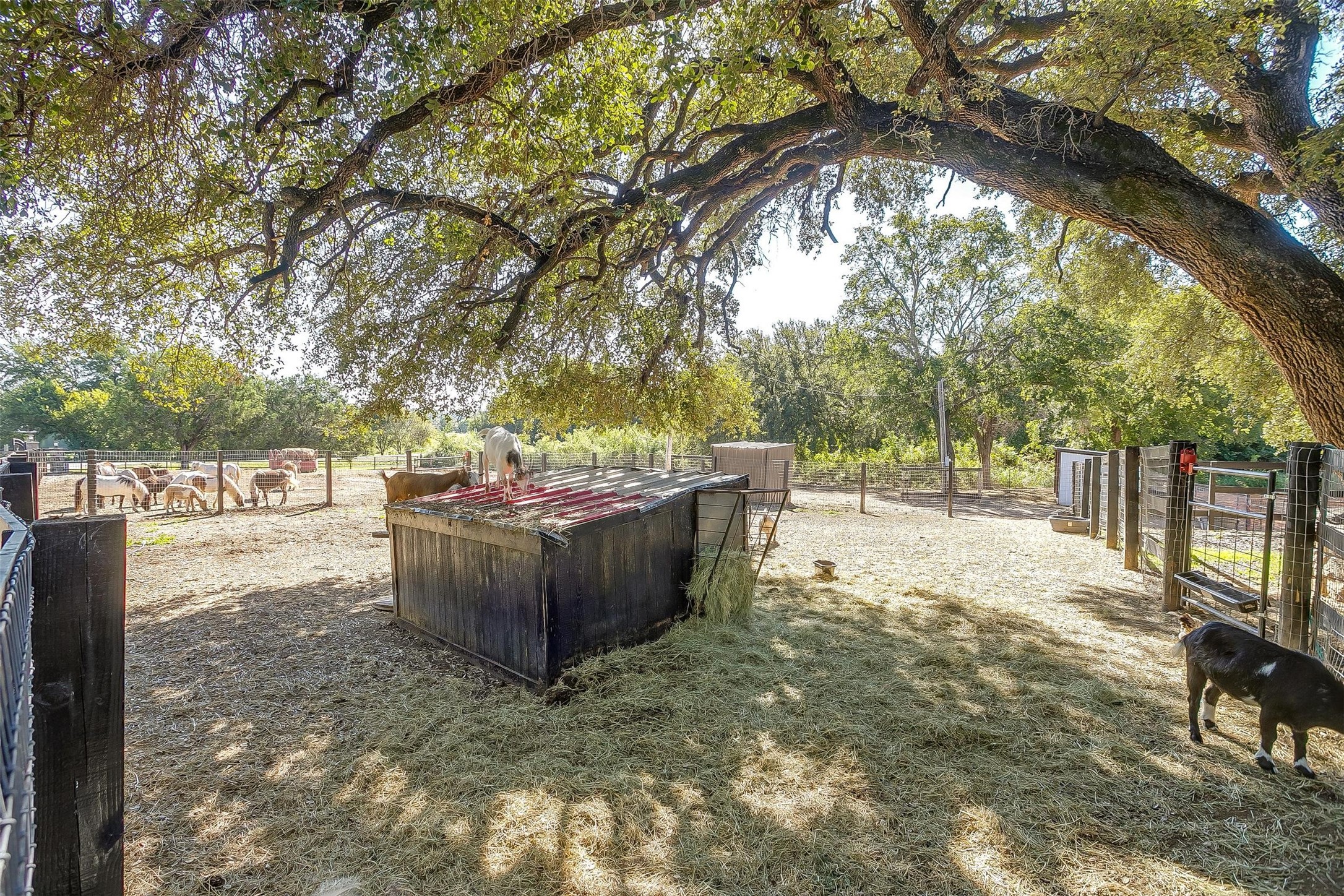 2061 County Road 302 Glen Rose TX 76043