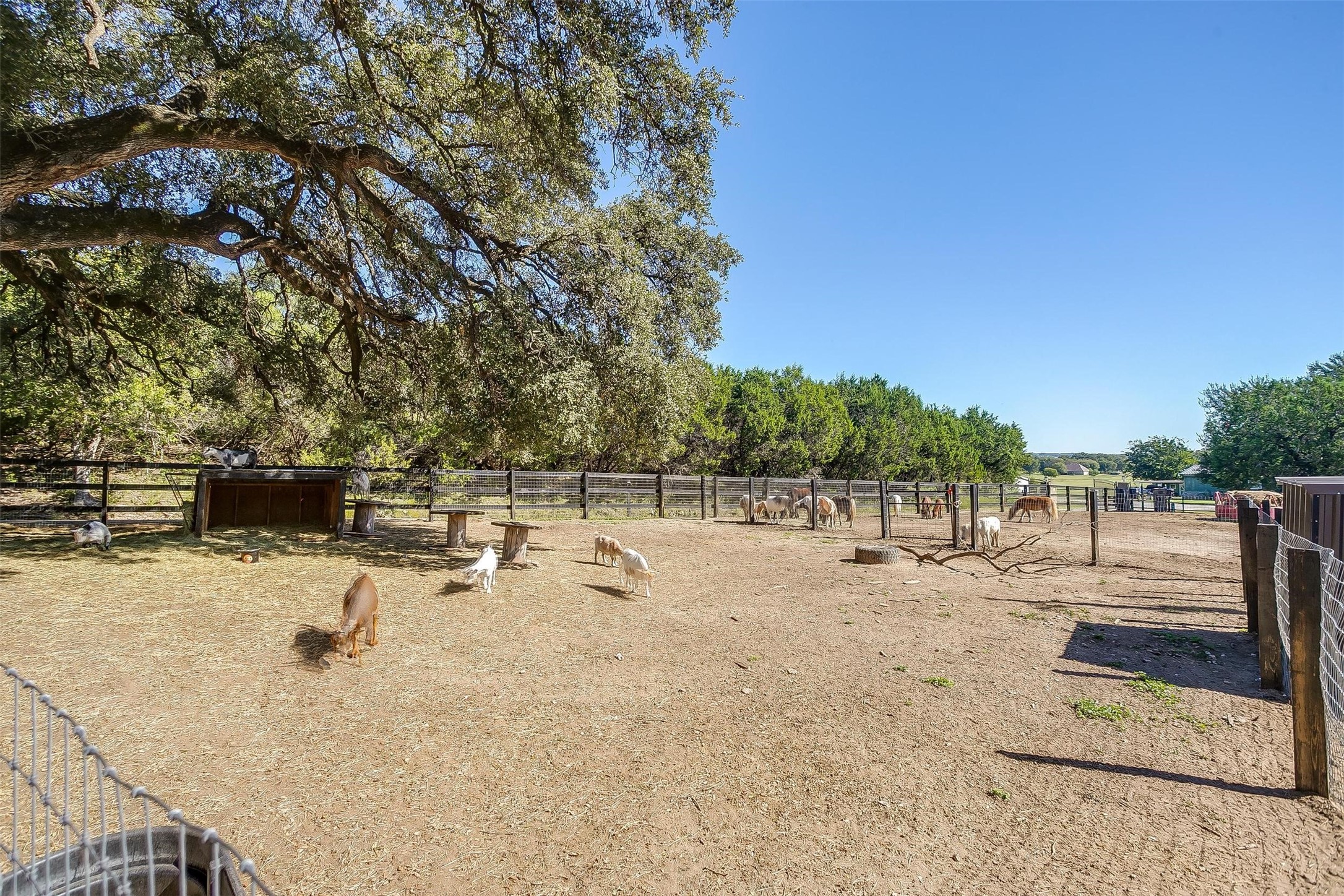 2061 County Road 302 Glen Rose TX 76043