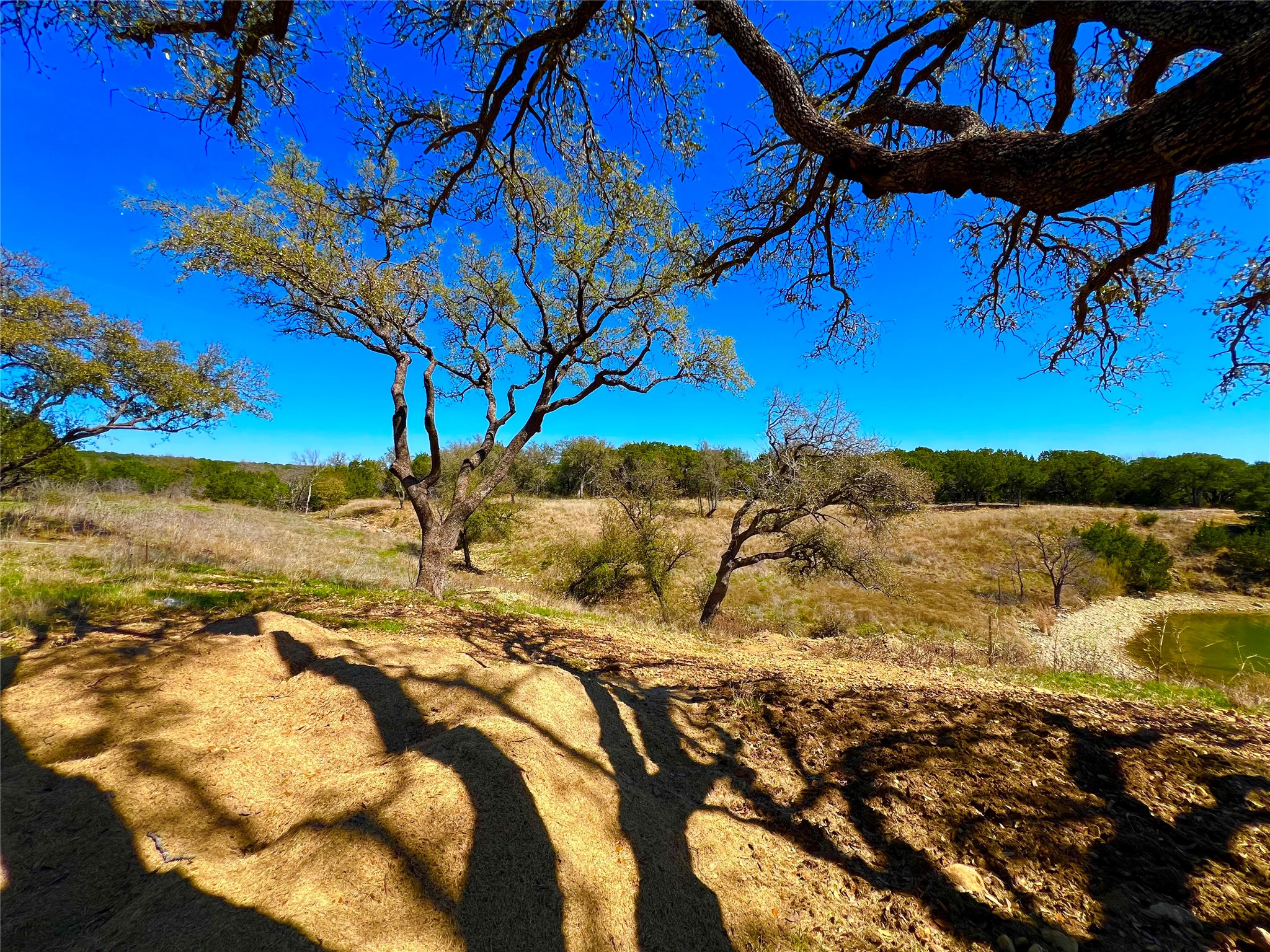 5505 Lakeshore Drive Possum Kingdom Lake TX 76450