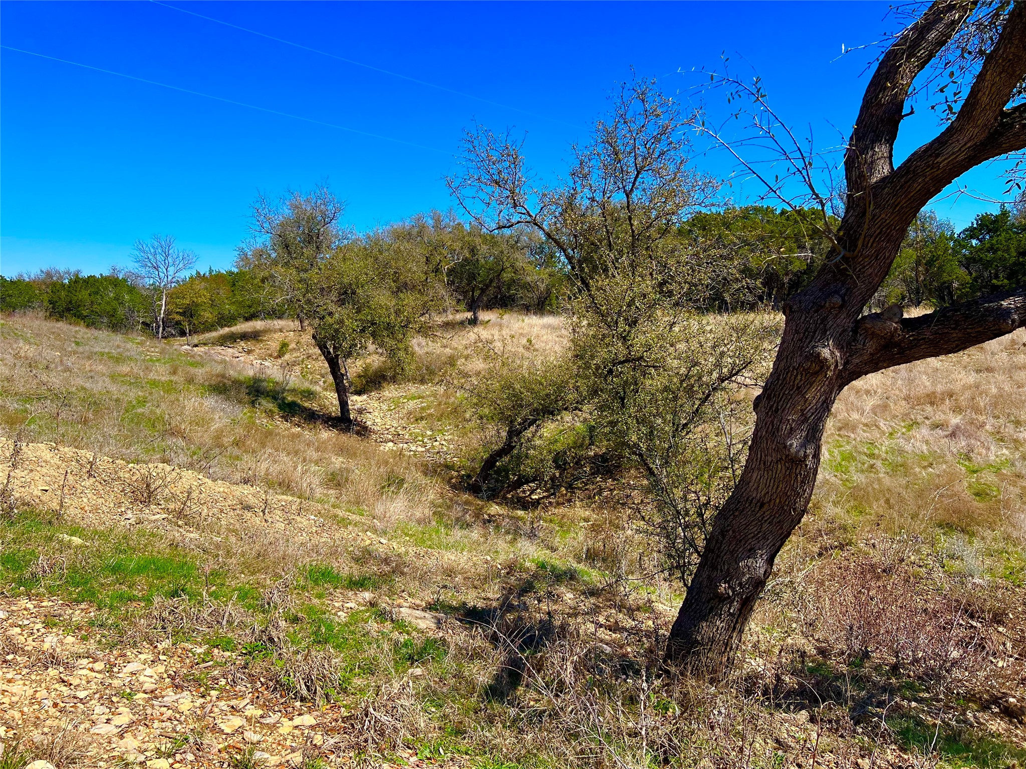 5505 Lakeshore Drive Possum Kingdom Lake TX 76450