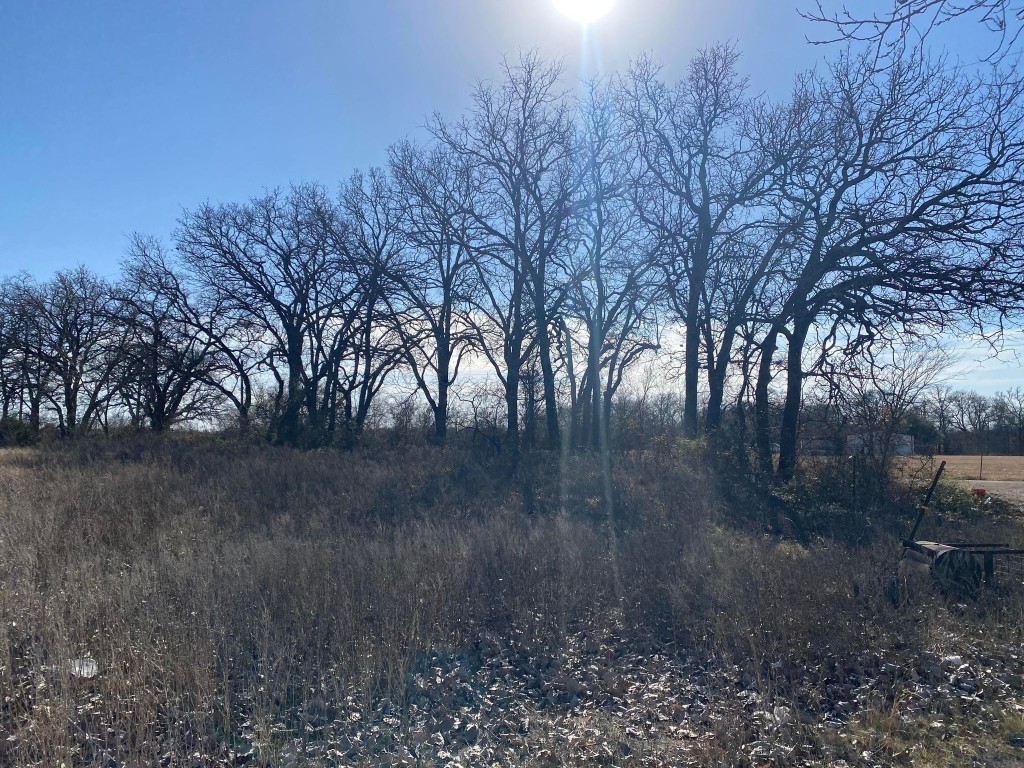 687 Homer Young Lane Axtell TX 76624