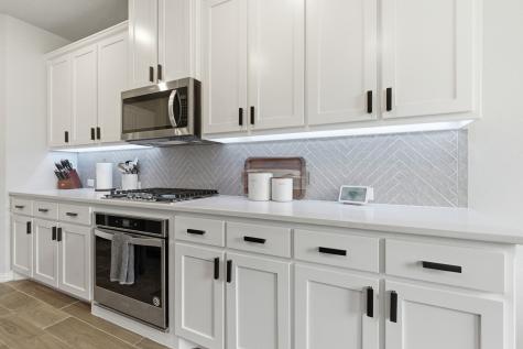 2809 Comal Drive Little Elm TX 75068
