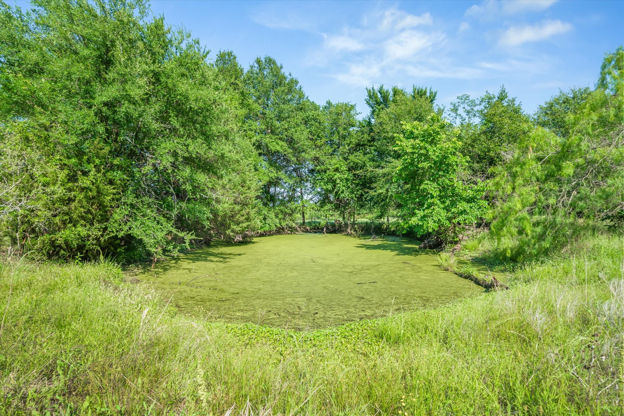 18241 Fm 2613 Kemp TX 75143