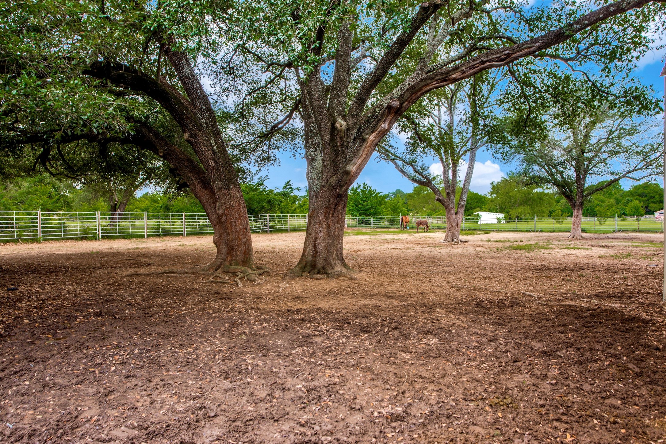 4730 Eden Road S Mansfield TX 76063