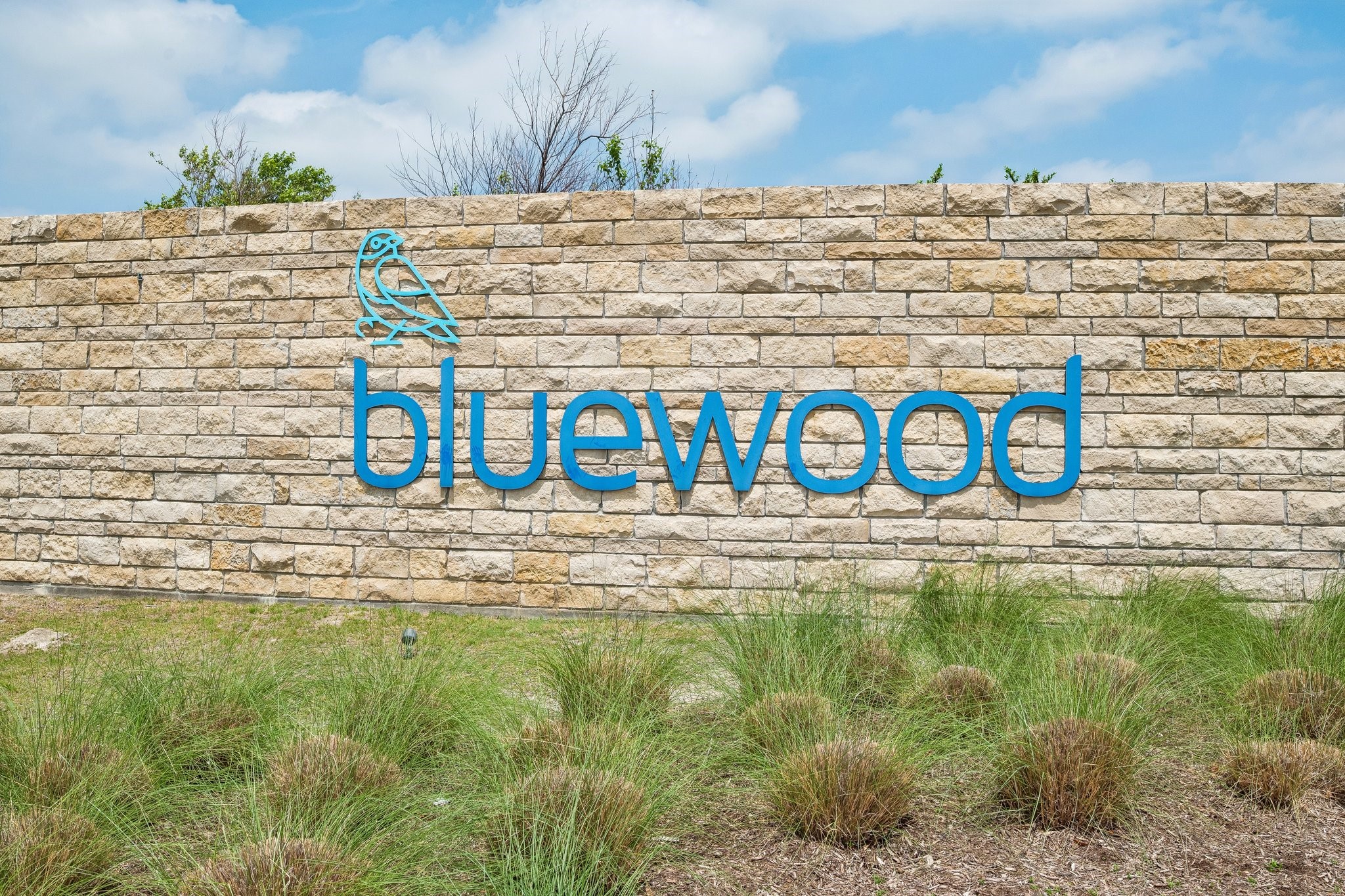 816 Cobalt Drive Celina TX 75009