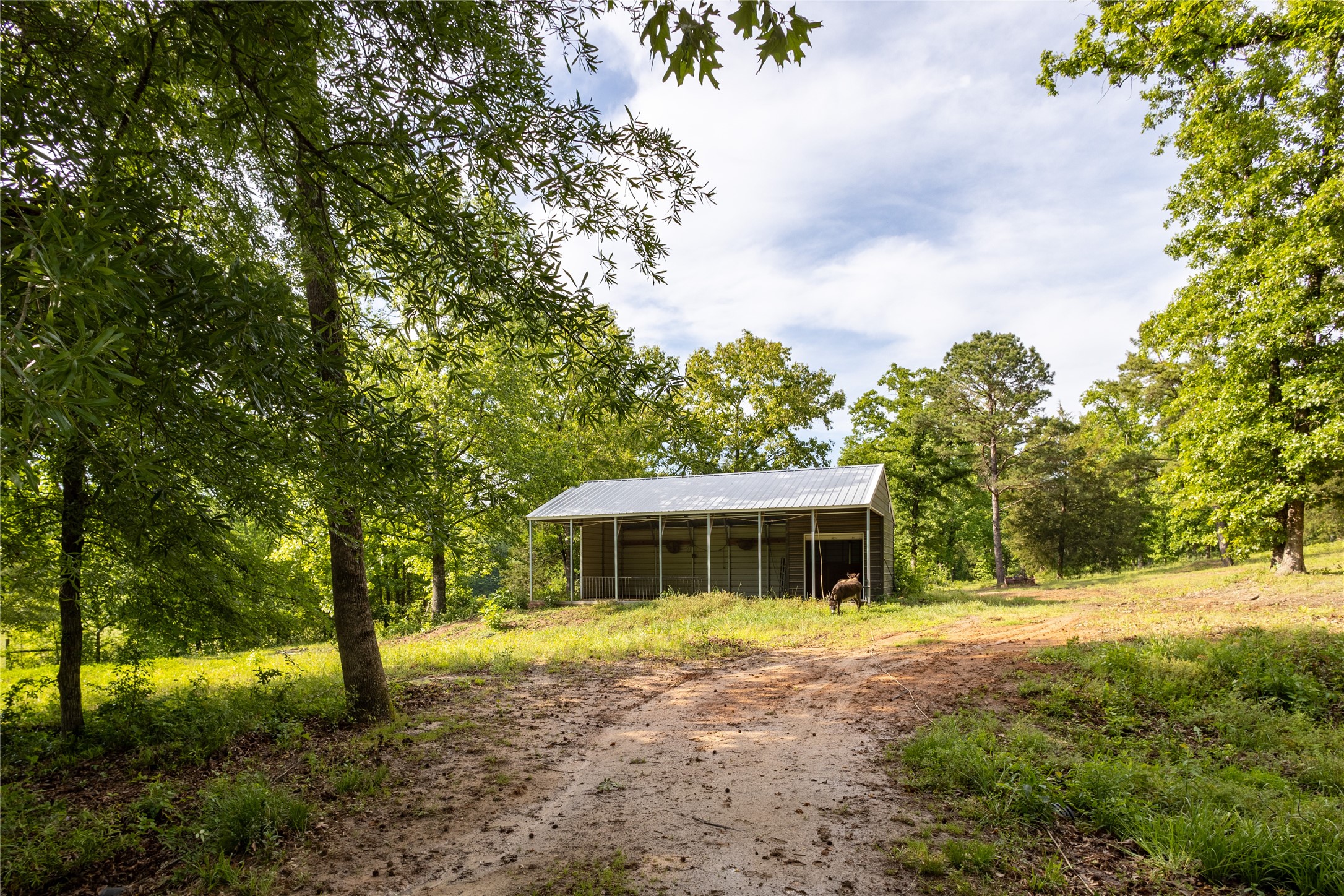 2657 Cr 2724 Mineola TX 75773