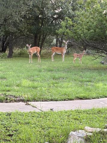 107 Ridge Court Glen Rose TX 76043