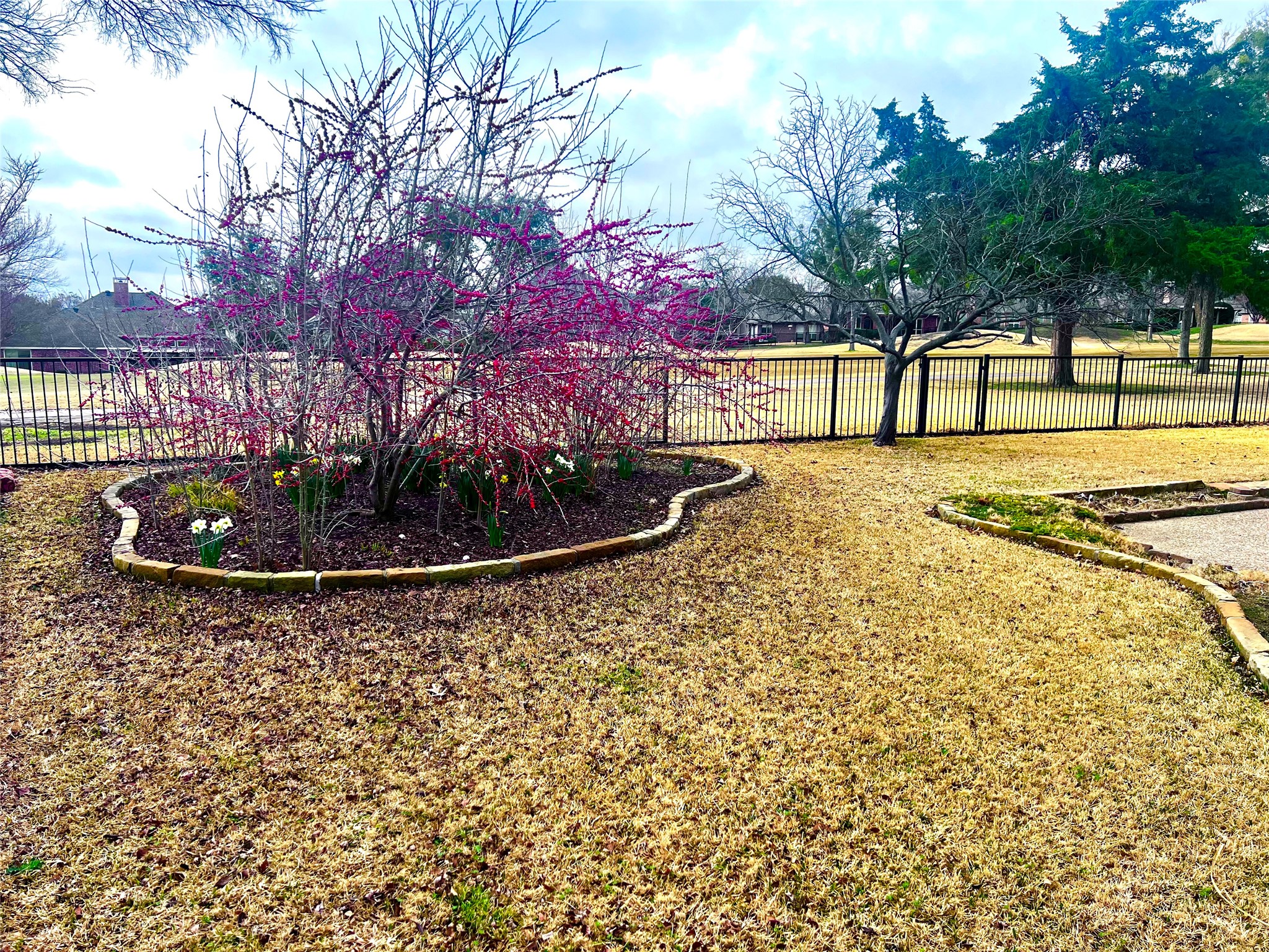 2705 Wind Ridge Mckinney TX 75072