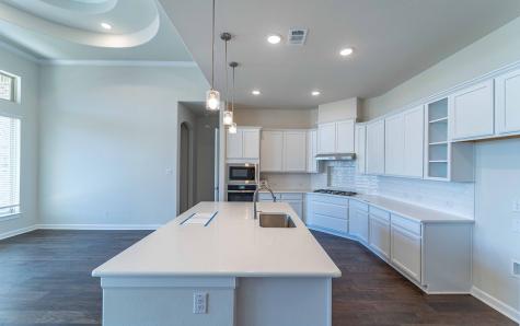1907 Rondinella Drive Mclendon Chisholm TX 75032