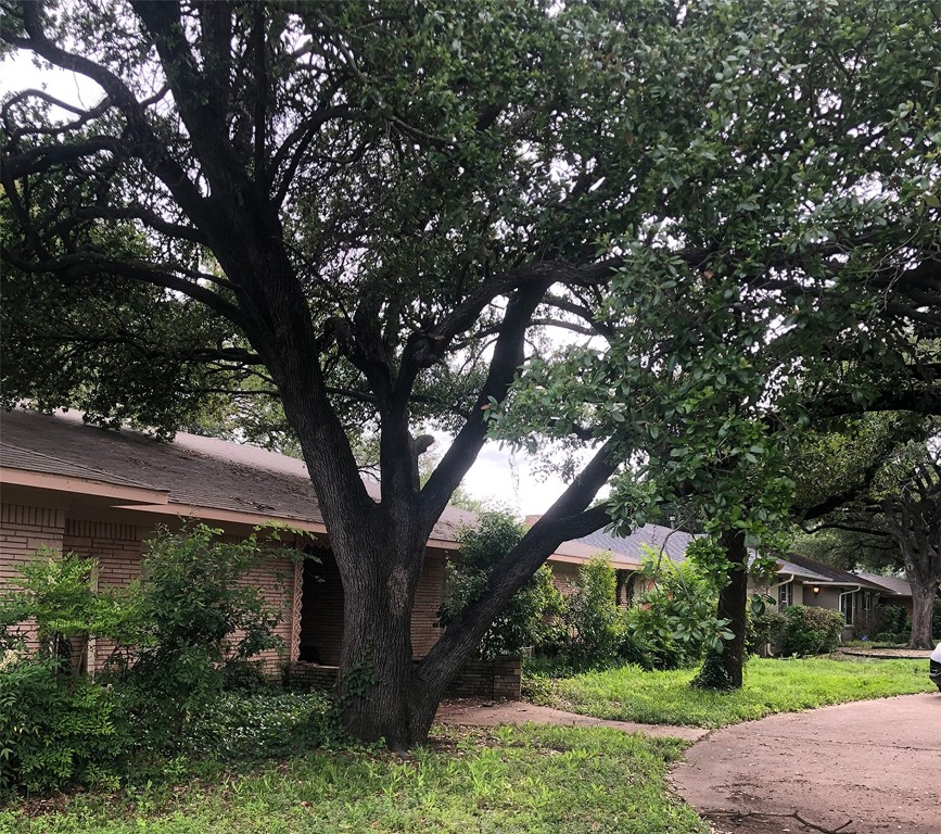 6948 Lavendale Avenue Dallas TX 75230