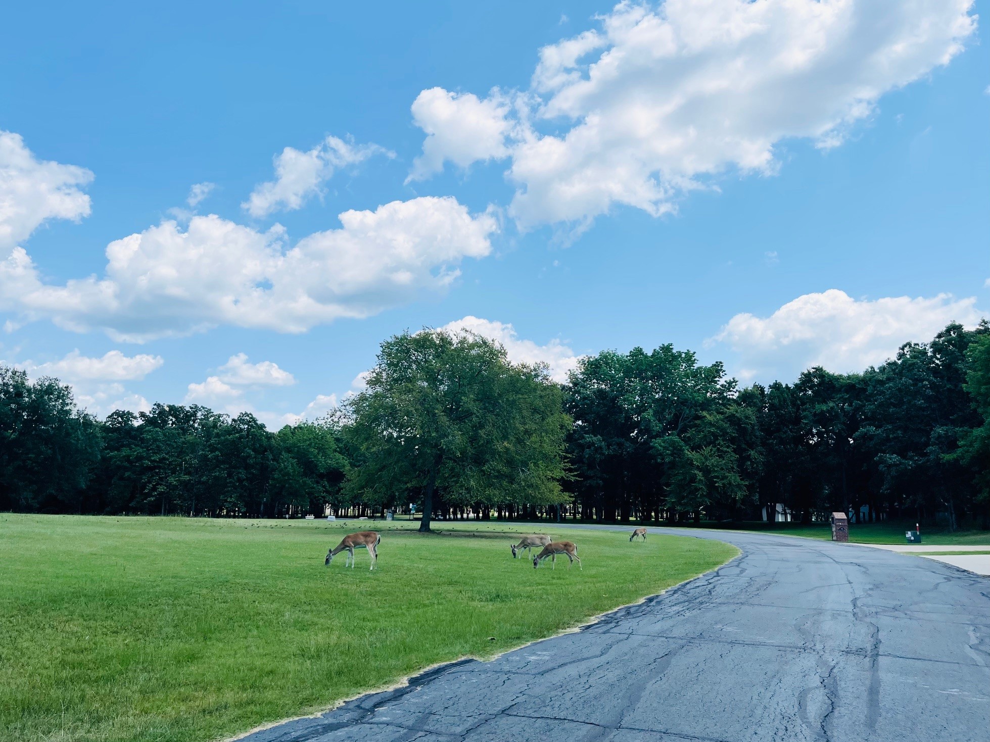 116 Private Road 5984 Yantis TX 75497