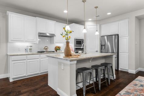 3316 Discovery Drive Little Elm TX 75068