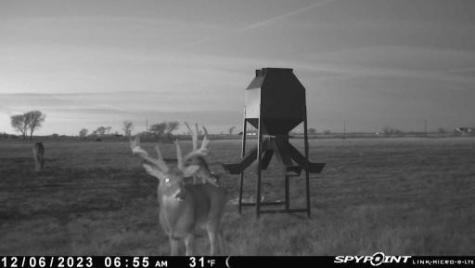 4251 Refuge Road Sherman TX 75092