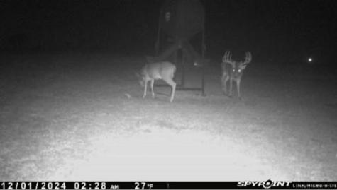 4251 Refuge Road Sherman TX 75092