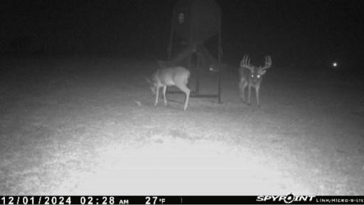 4251 Refuge Road Sherman TX 75092