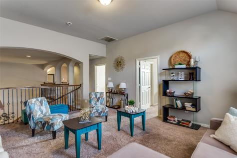 6029 Lacebark Elm Drive Fort Worth TX 76123