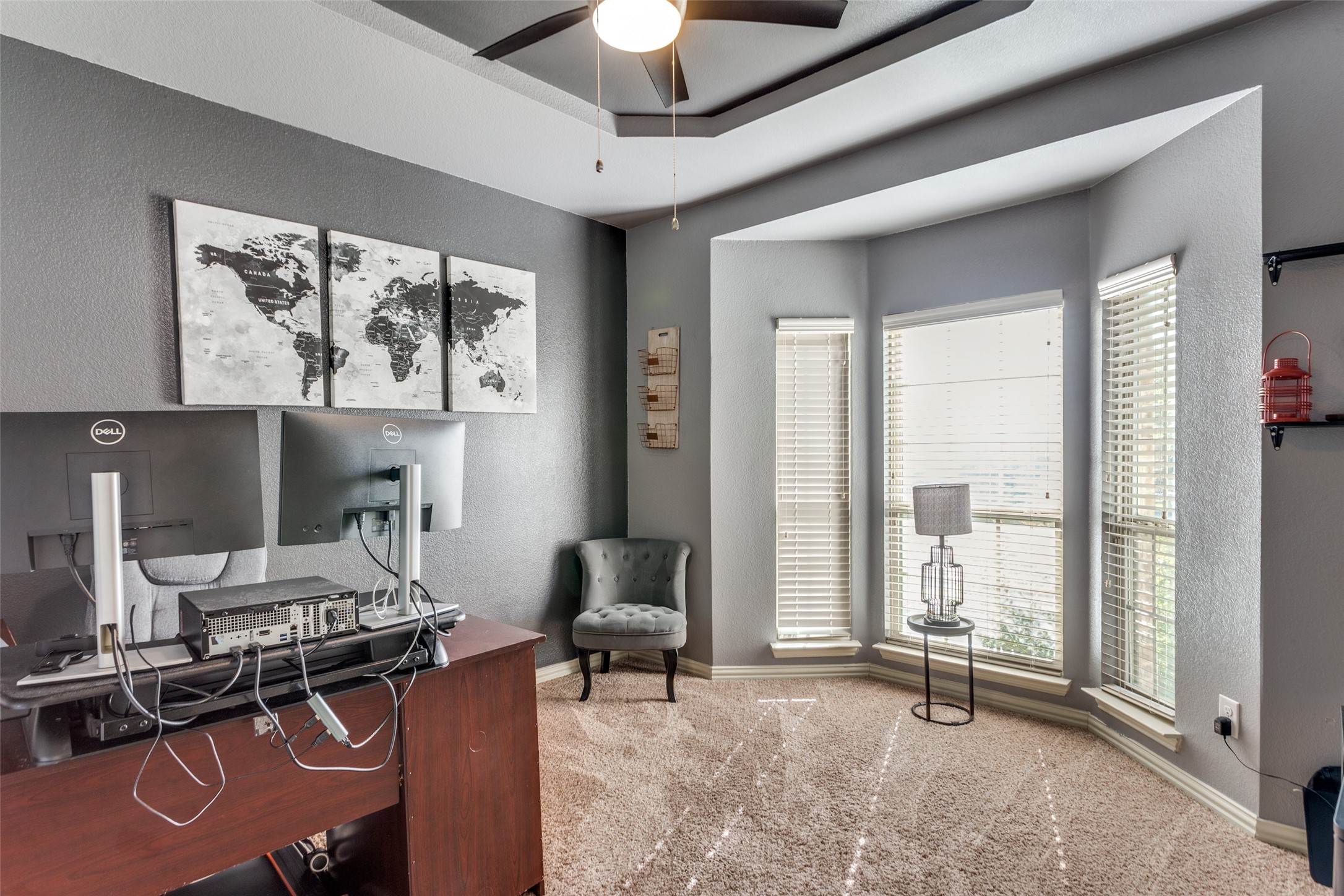 6029 Lacebark Elm Drive Fort Worth TX 76123