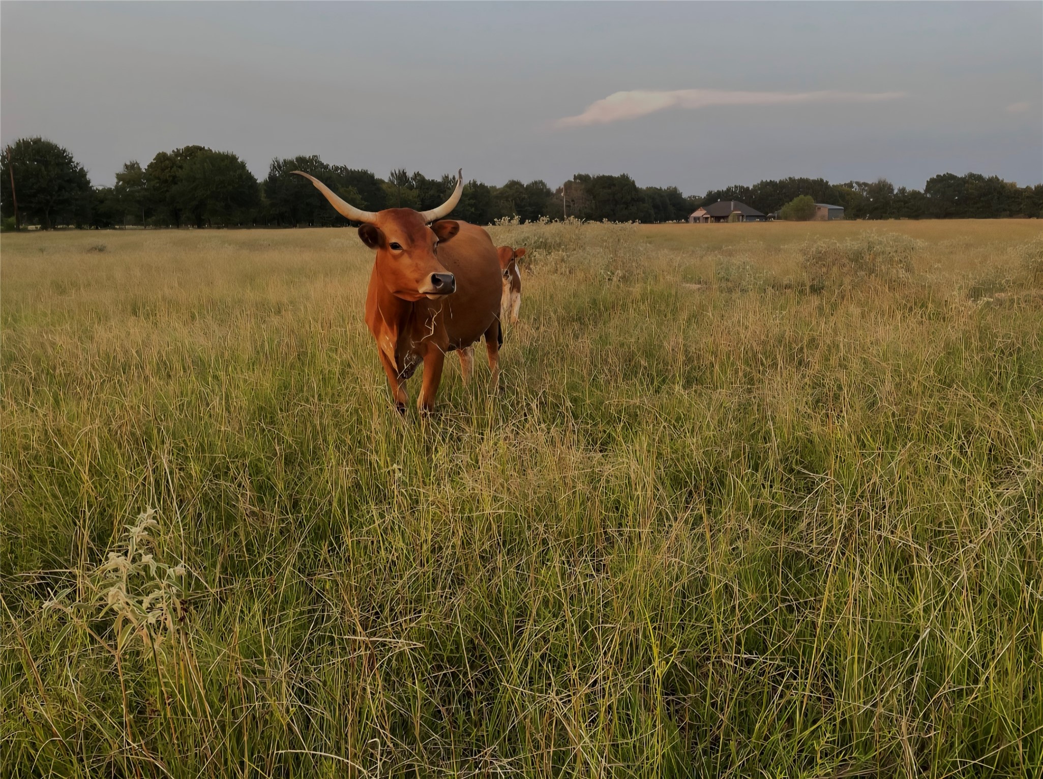 17821 County Road 4069 Kemp TX 75143