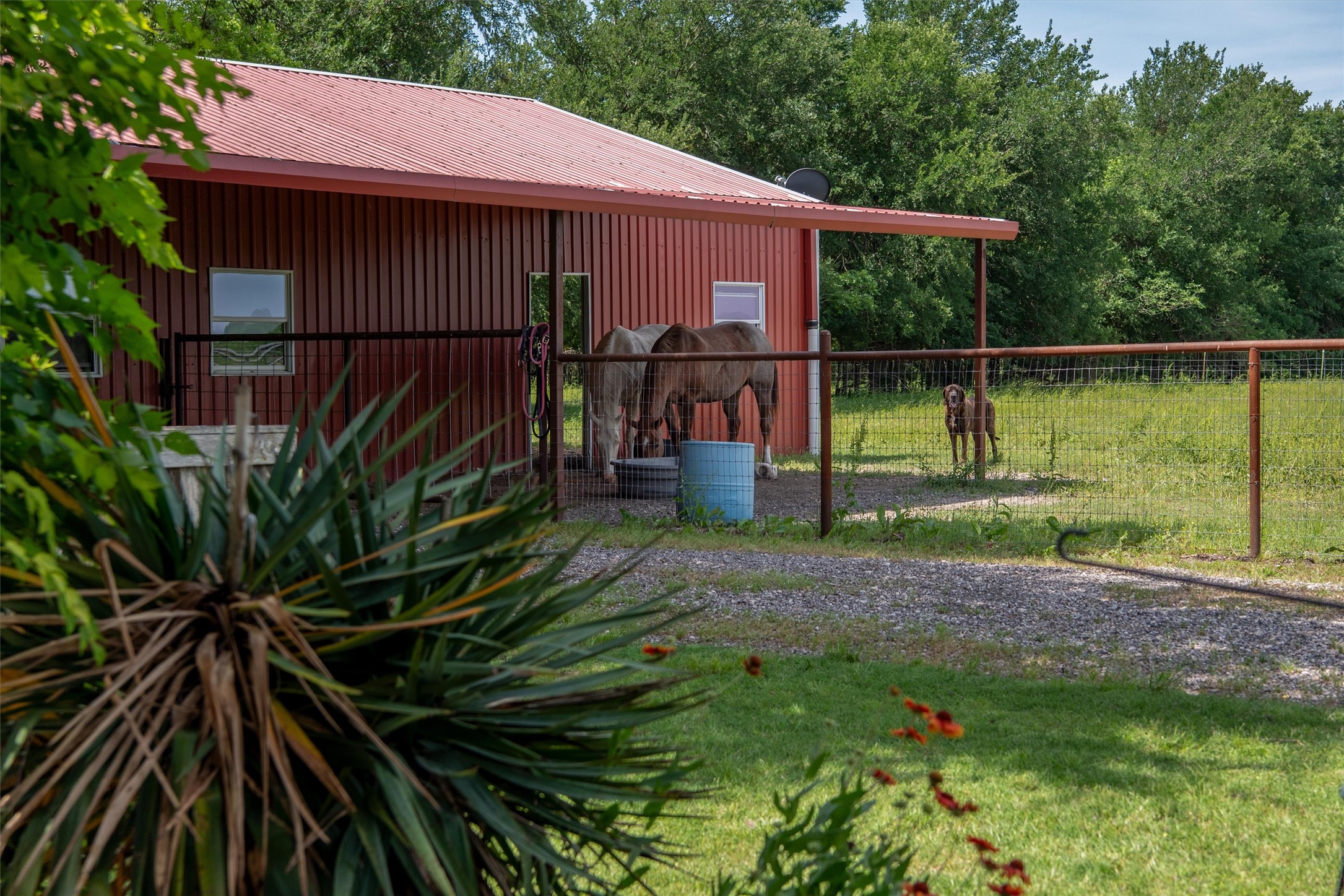 8665 Cr-669 Blue Ridge TX 75424