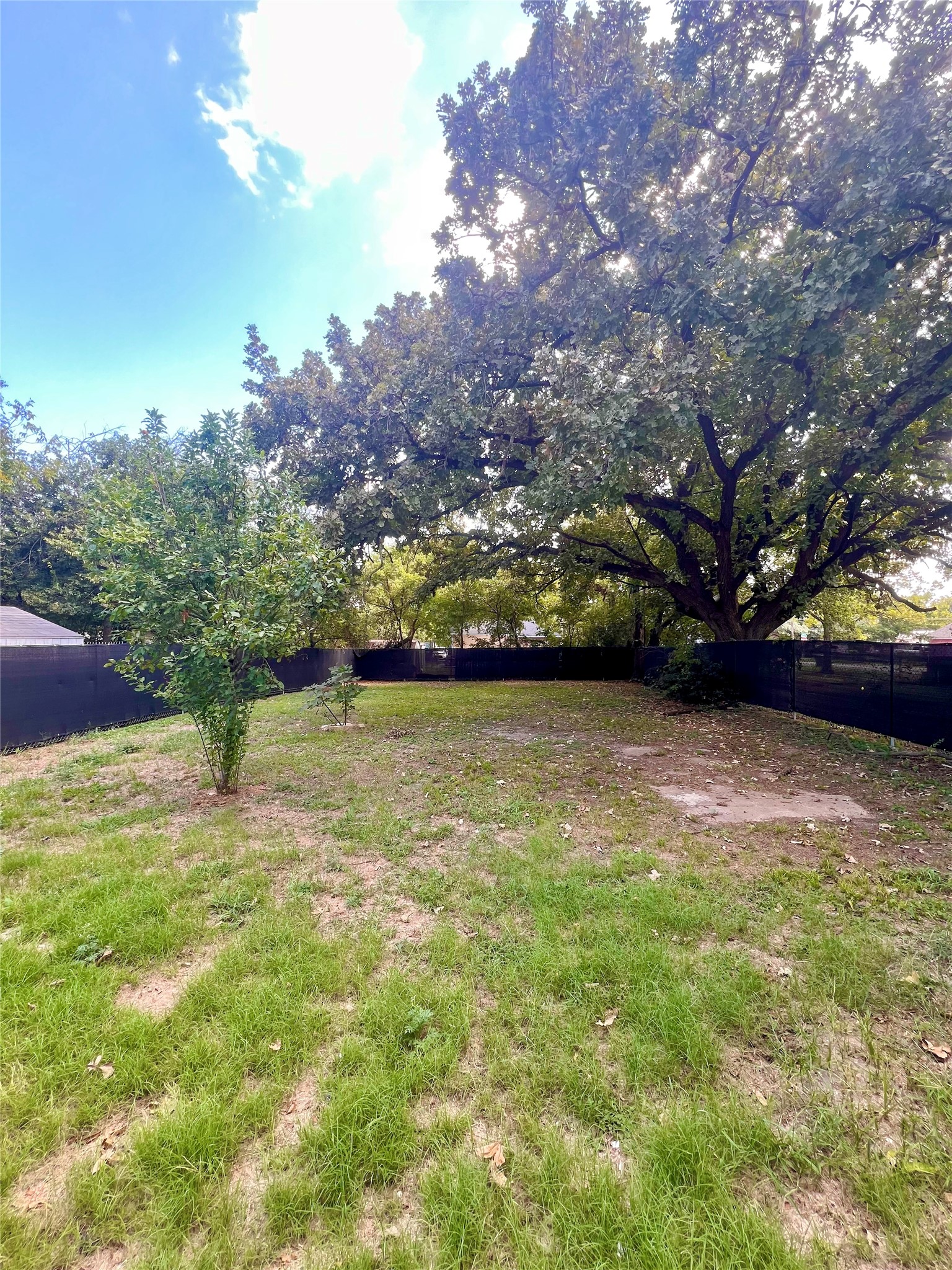 411 Euclid Street Cleburne TX 76033