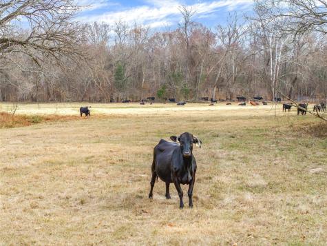 Highway 11 And County Road 4350 Winnsboro TX 75494