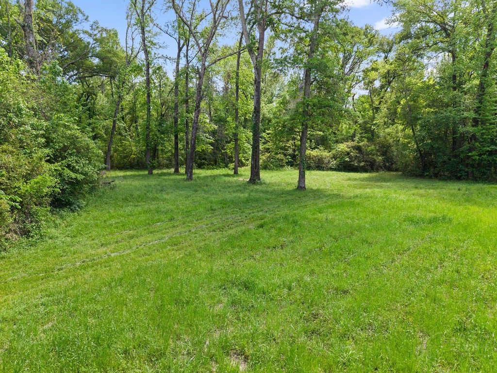 412 Vz County Road 4505 Ben Wheeler TX 75754